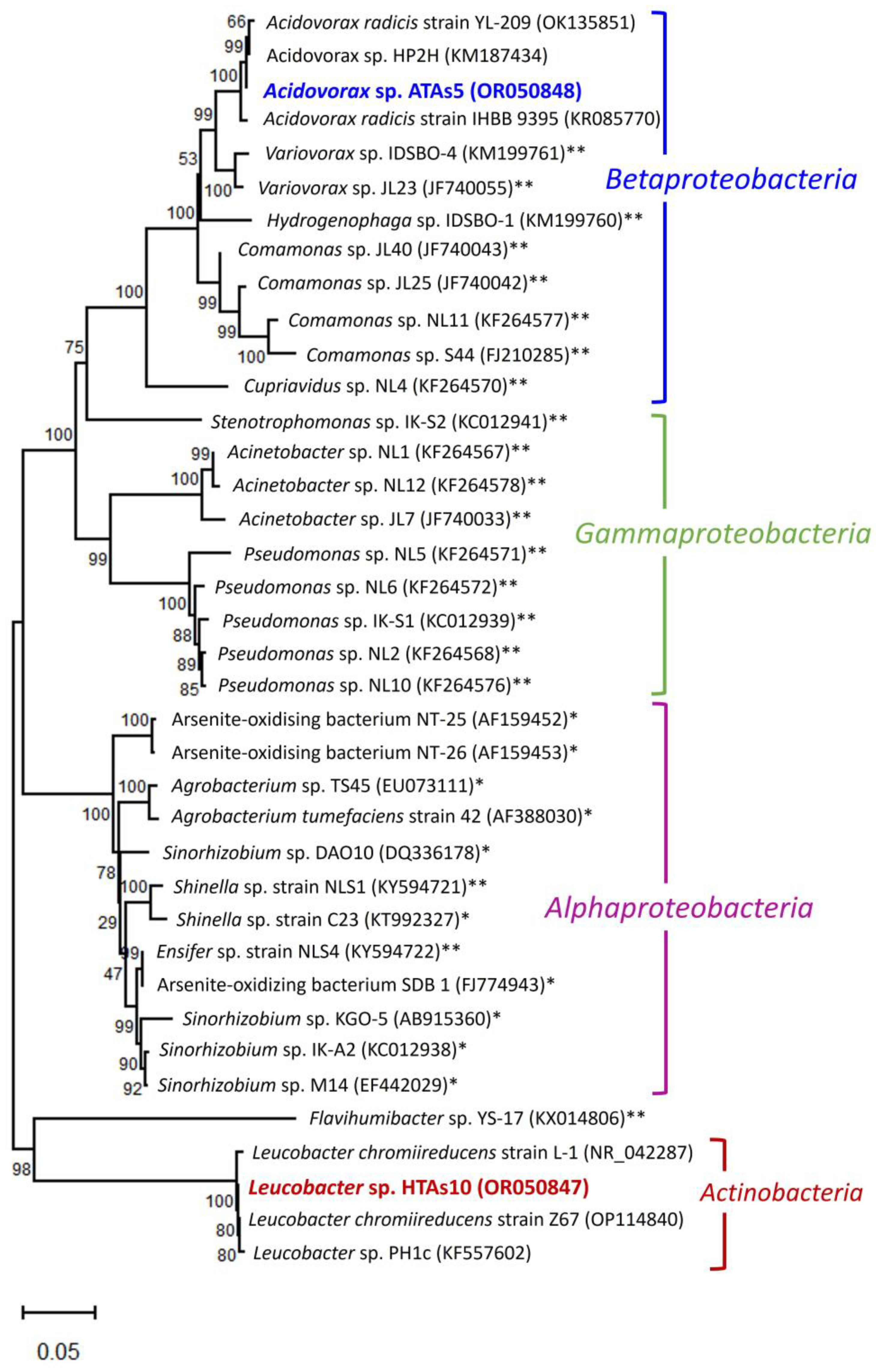 Microorganisms 11 01910 g006