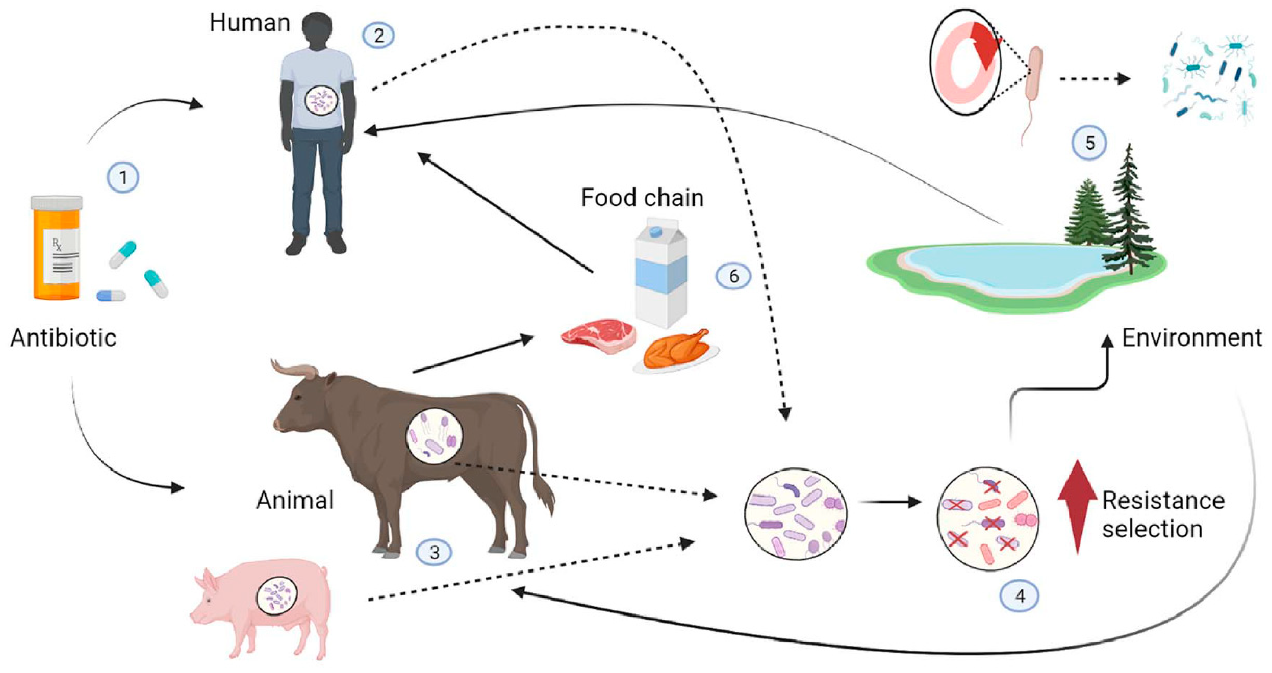 Microorganisms 11 01912 g001 Microorganisms 11 01912 g001
