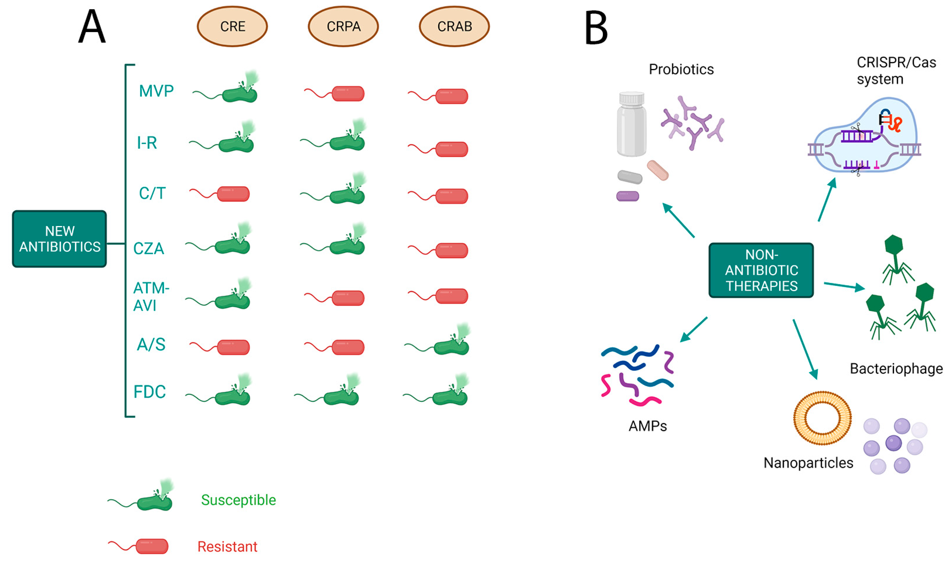 Microorganisms 11 01912 g002 Microorganisms 11 01912 g002