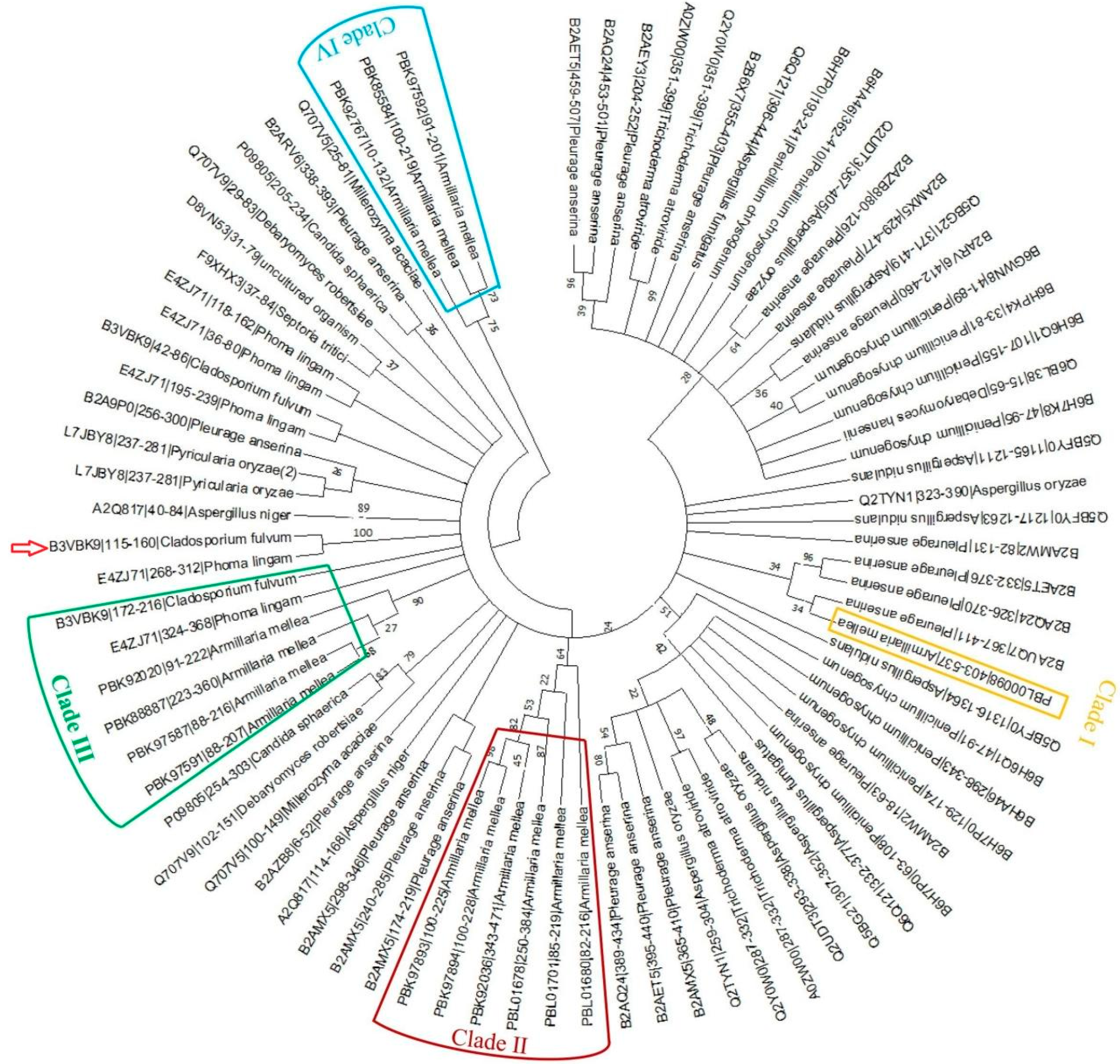 Microorganisms 11 01914 g004