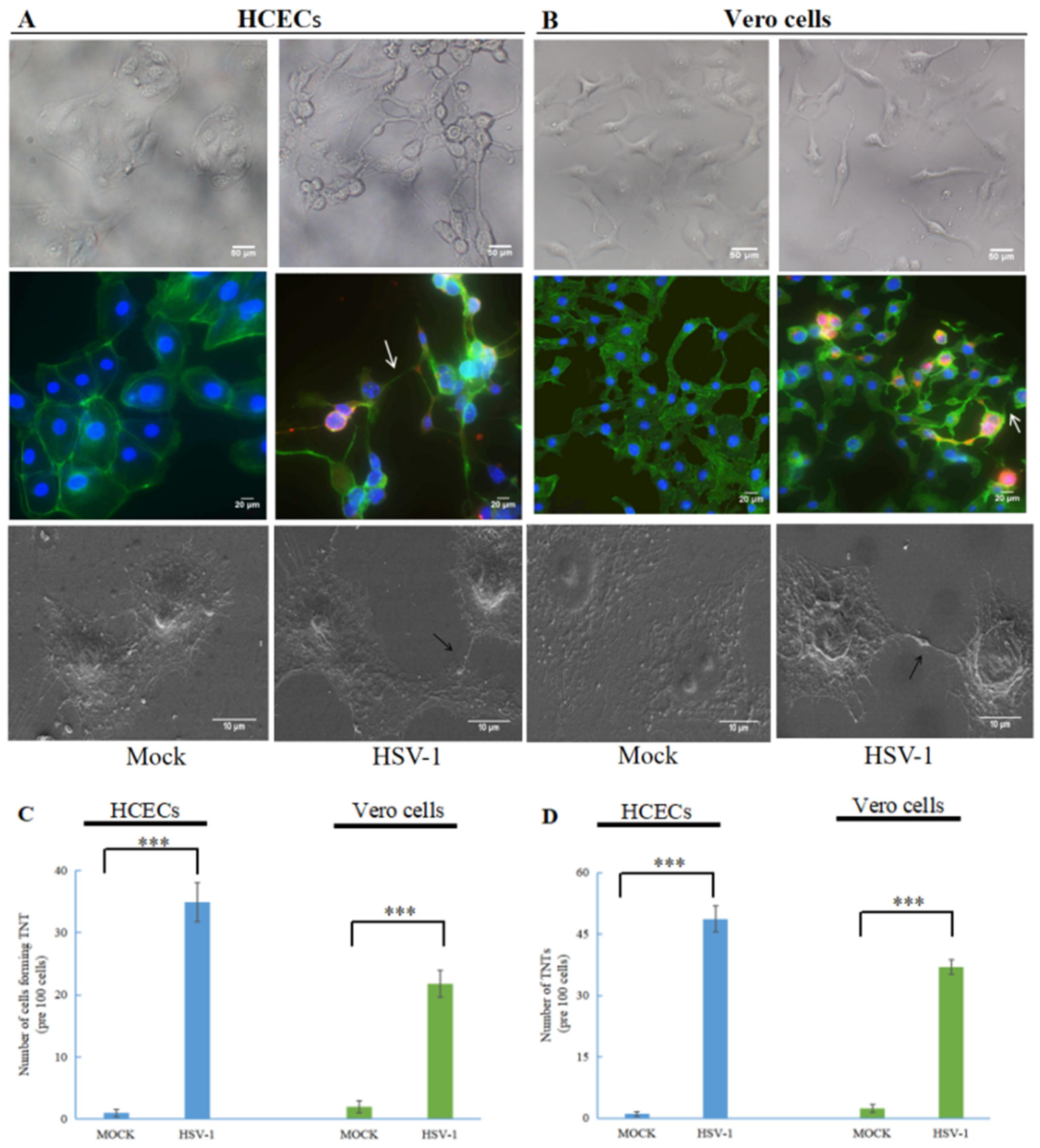 Microorganisms 11 01916 g001 Microorganisms 11 01916 g001