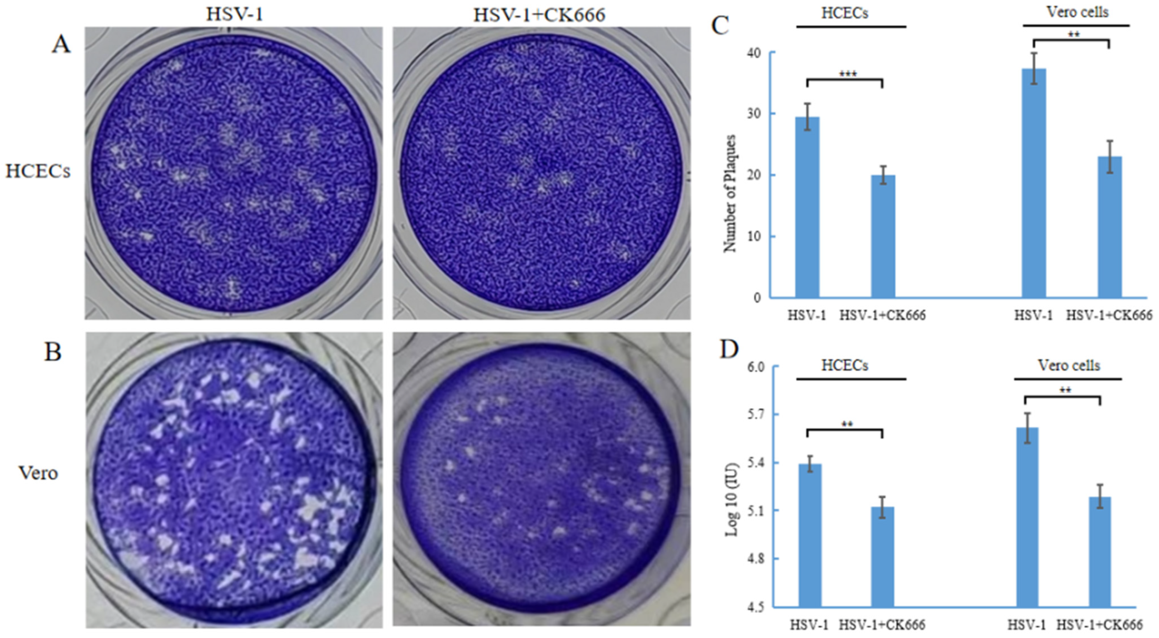 Microorganisms 11 01916 g004 Microorganisms 11 01916 g004