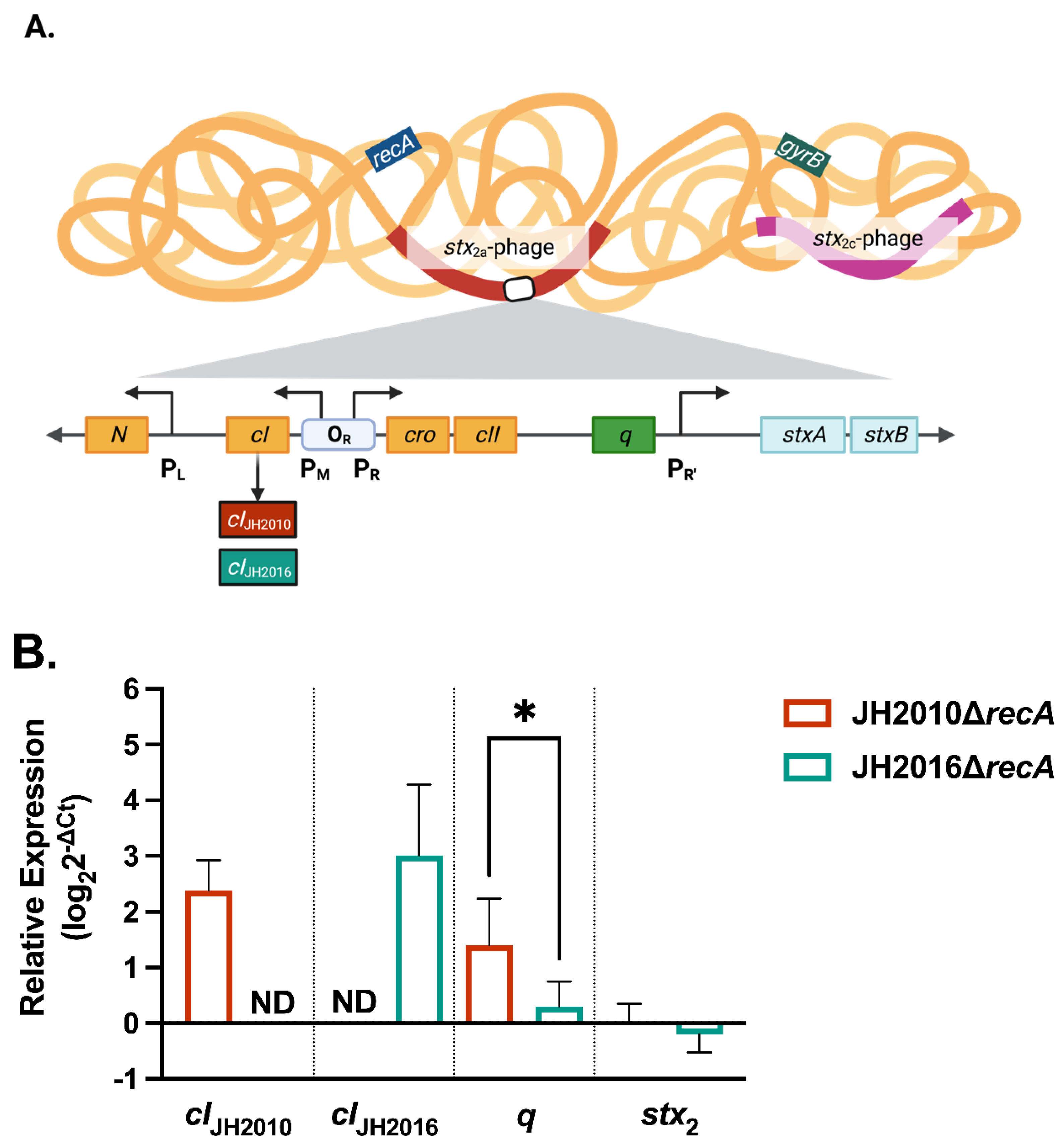 Microorganisms 11 01925 g007 Microorganisms 11 01925 g007
