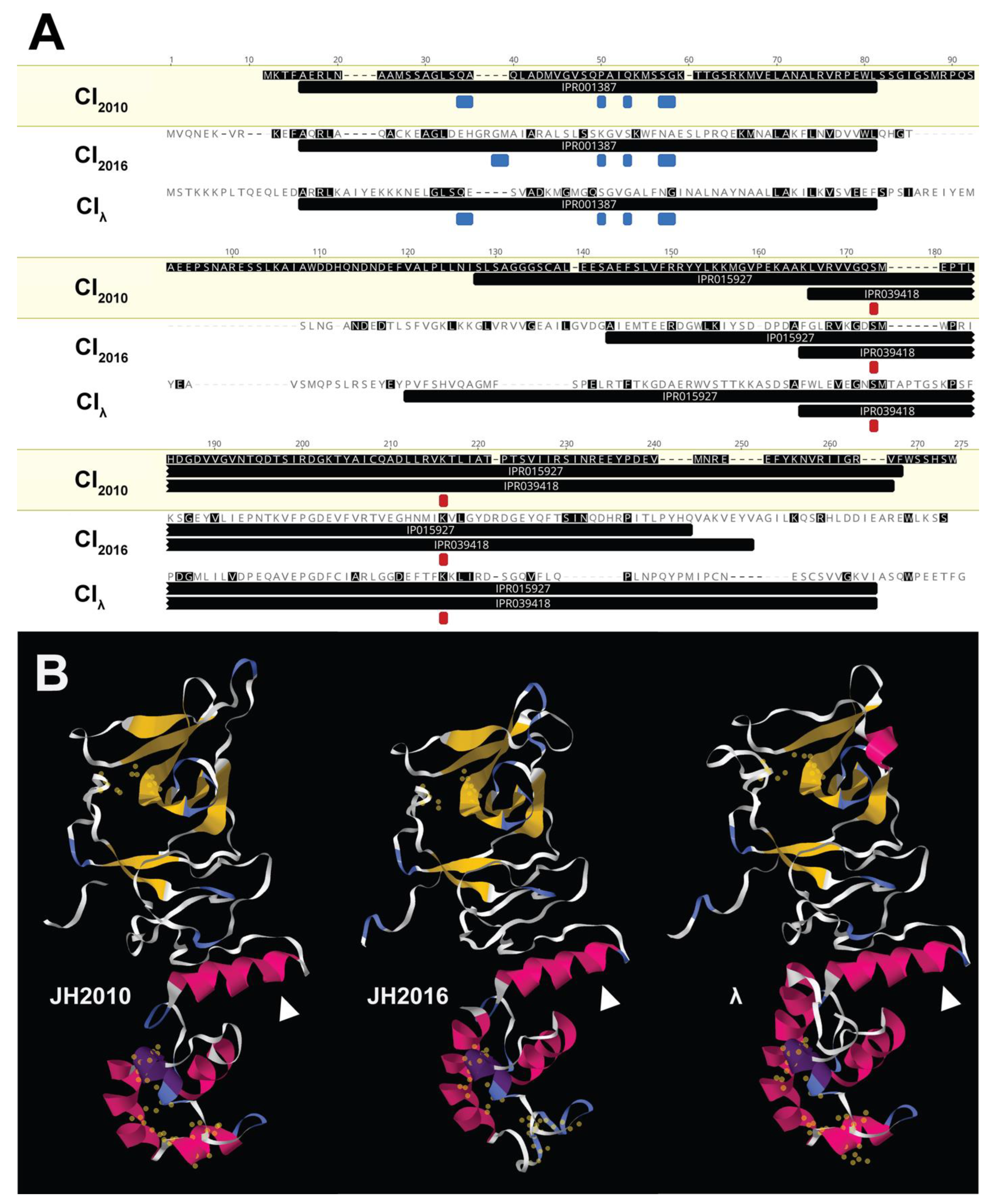 Microorganisms 11 01925 g008 Microorganisms 11 01925 g008