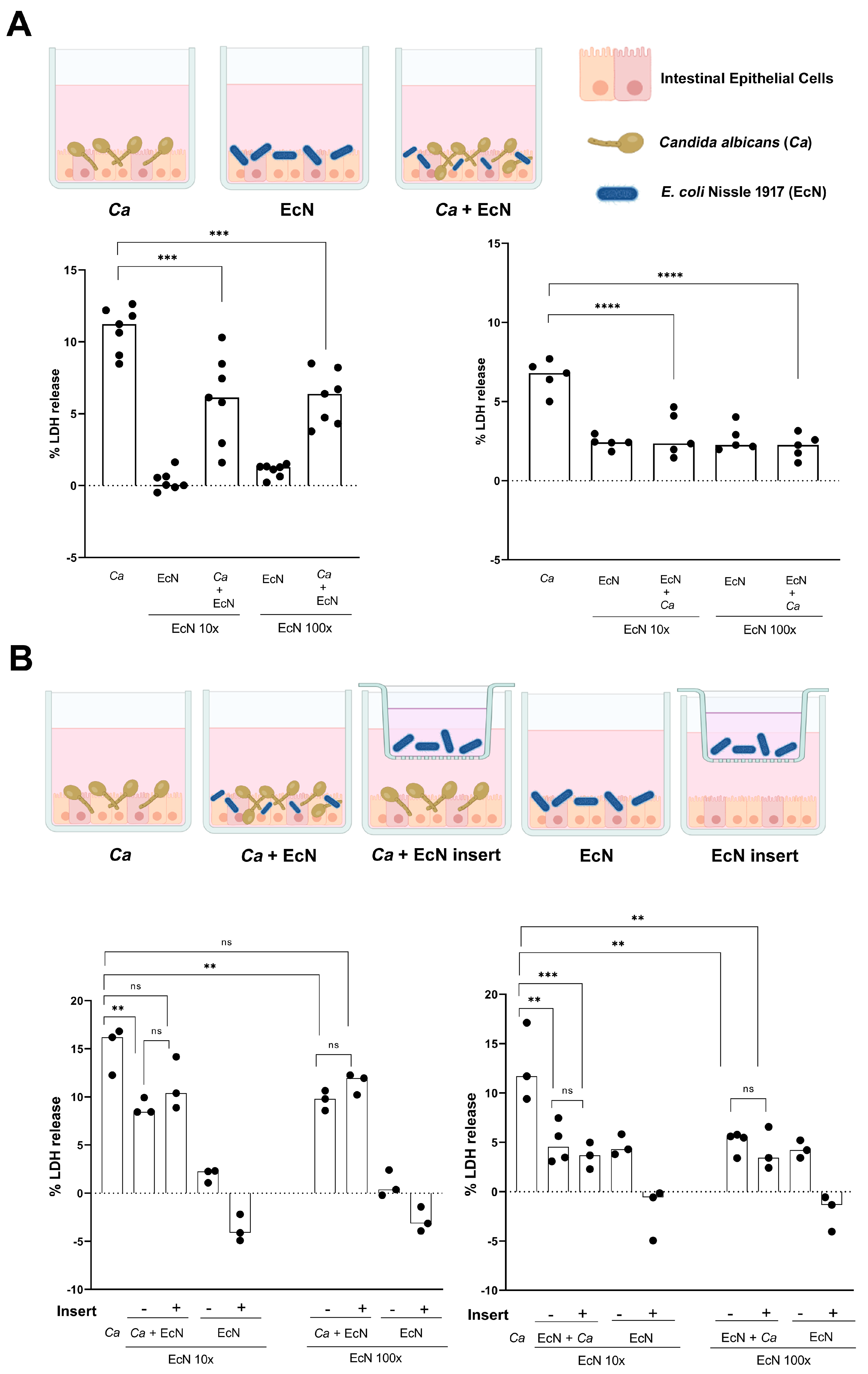 Microorganisms 11 01929 g004 Microorganisms 11 01929 g004