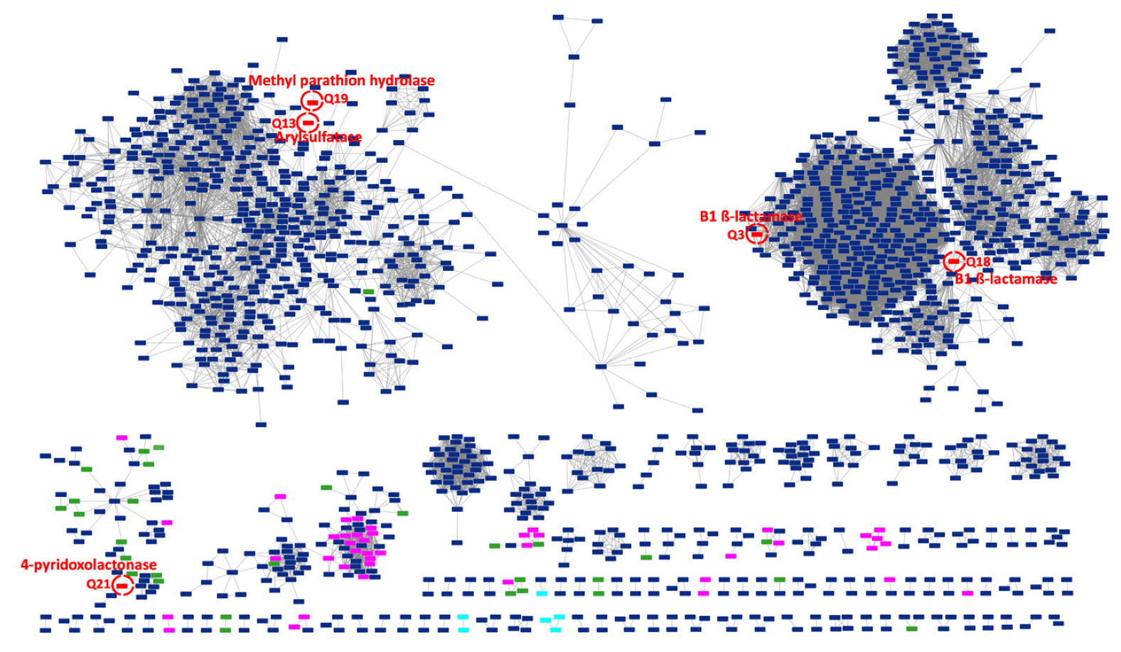 Microorganisms 11 01933 g006