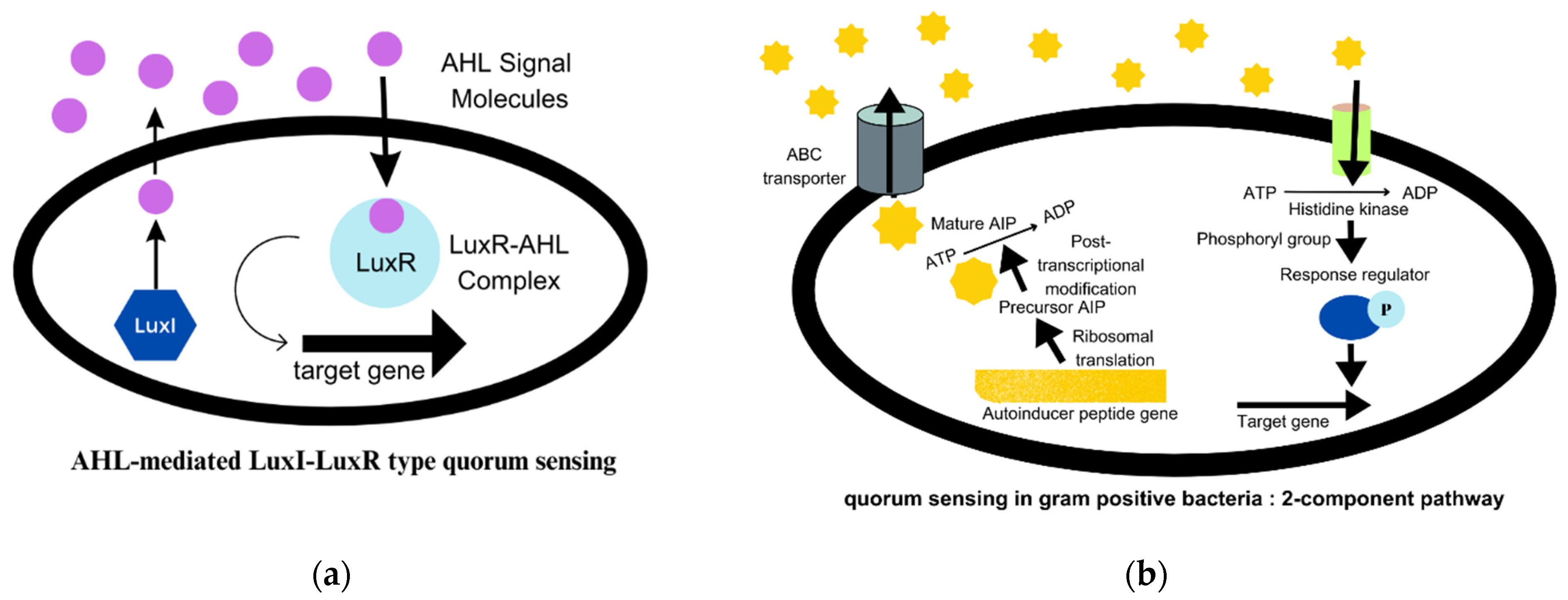 Microorganisms 11 01934 g002