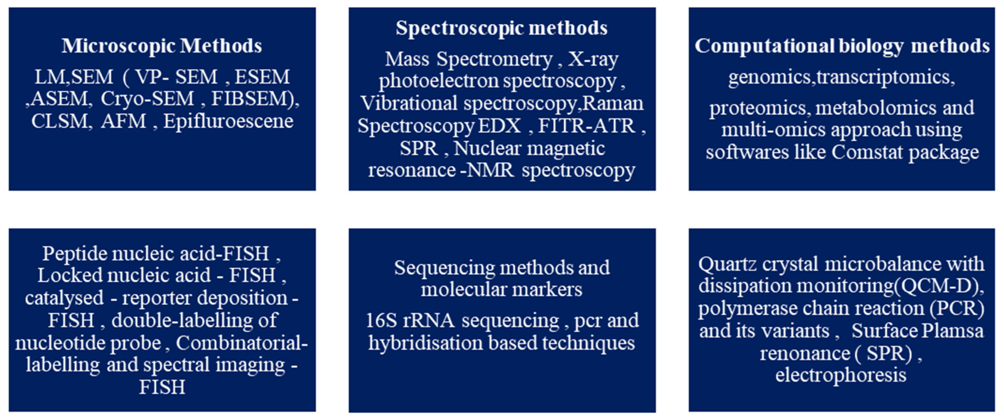 Microorganisms 11 01934 g003