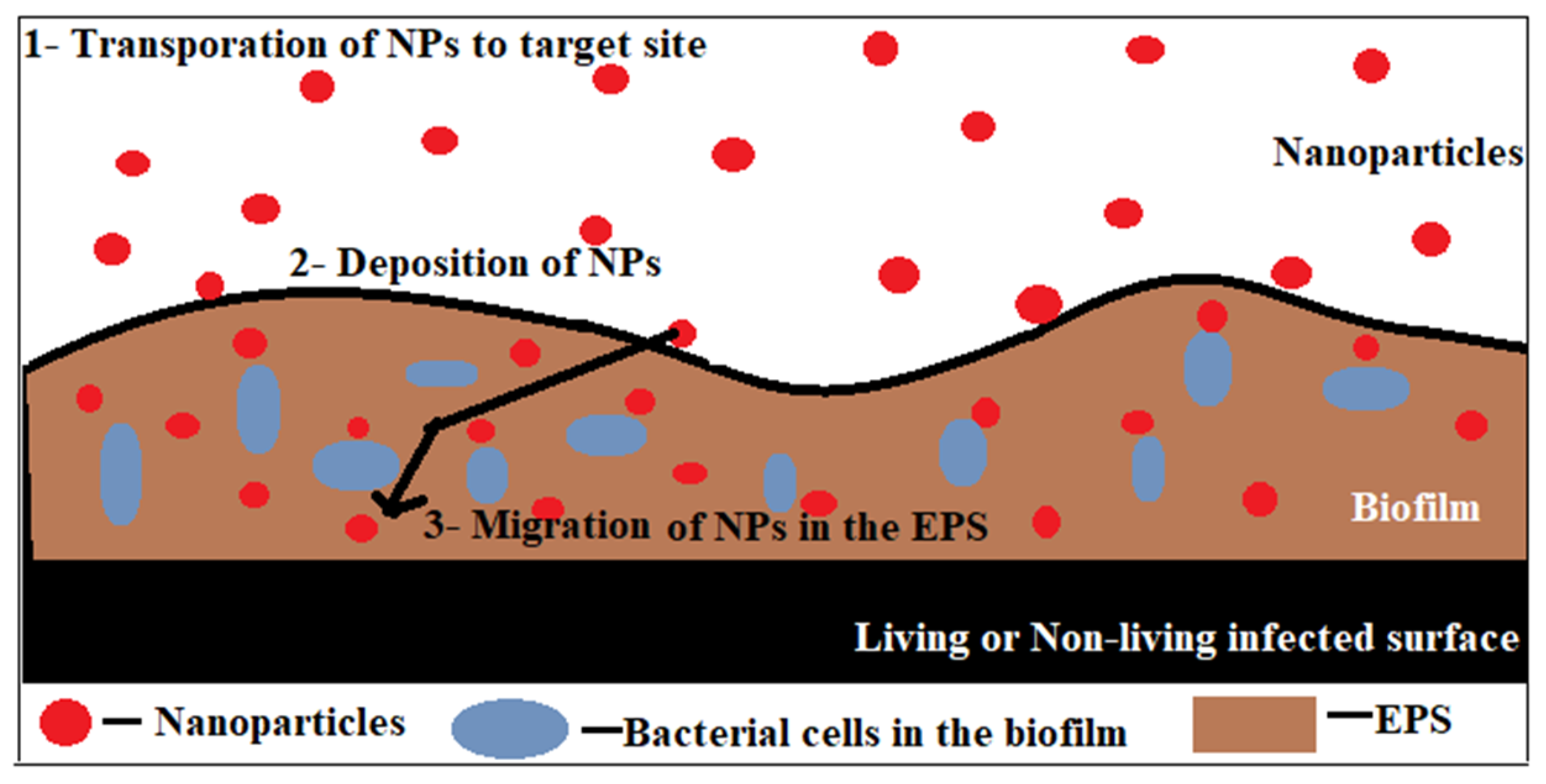 Microorganisms 11 01934 g006