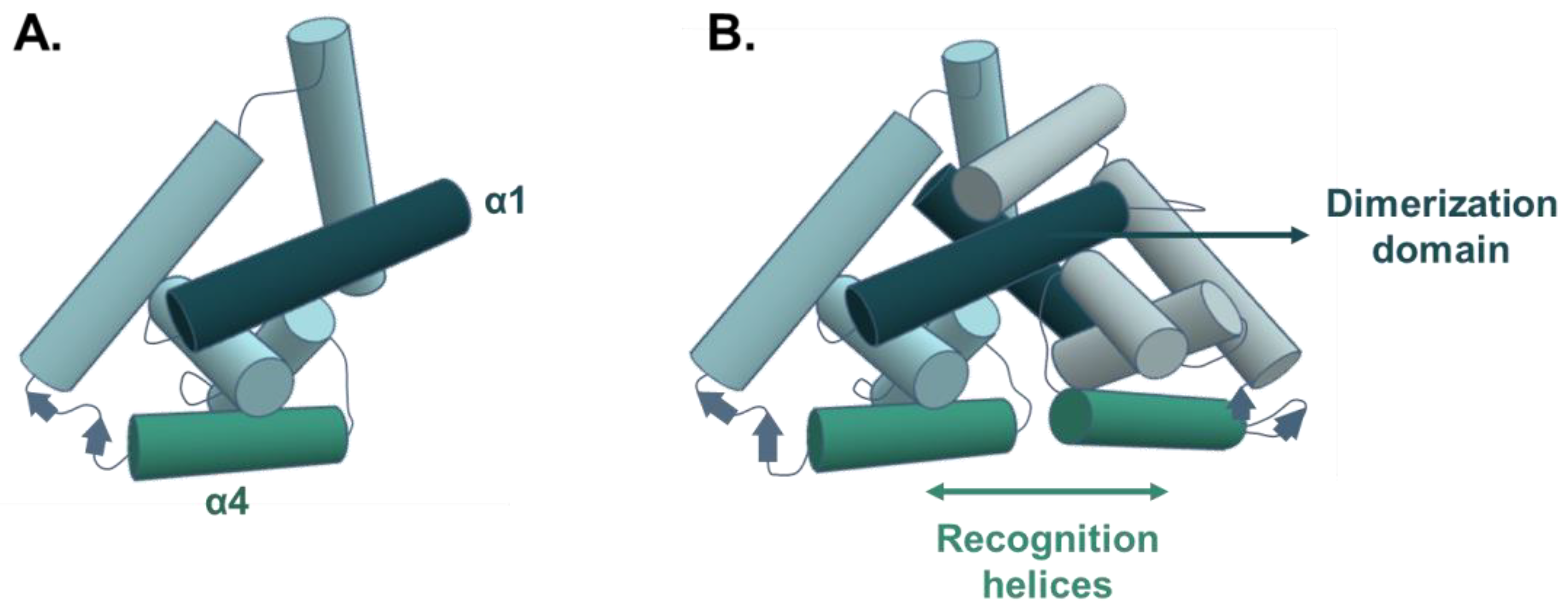 Microorganisms 11 01936 g001