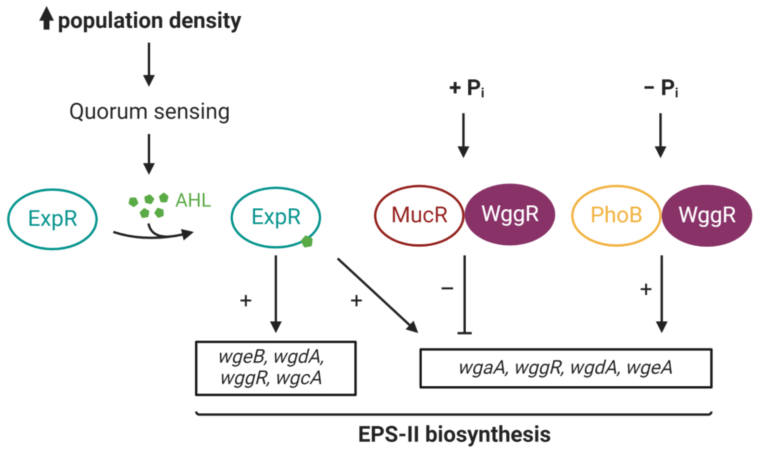 Microorganisms 11 01936 g005