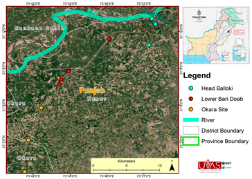 Microorganisms 11 01940 i001