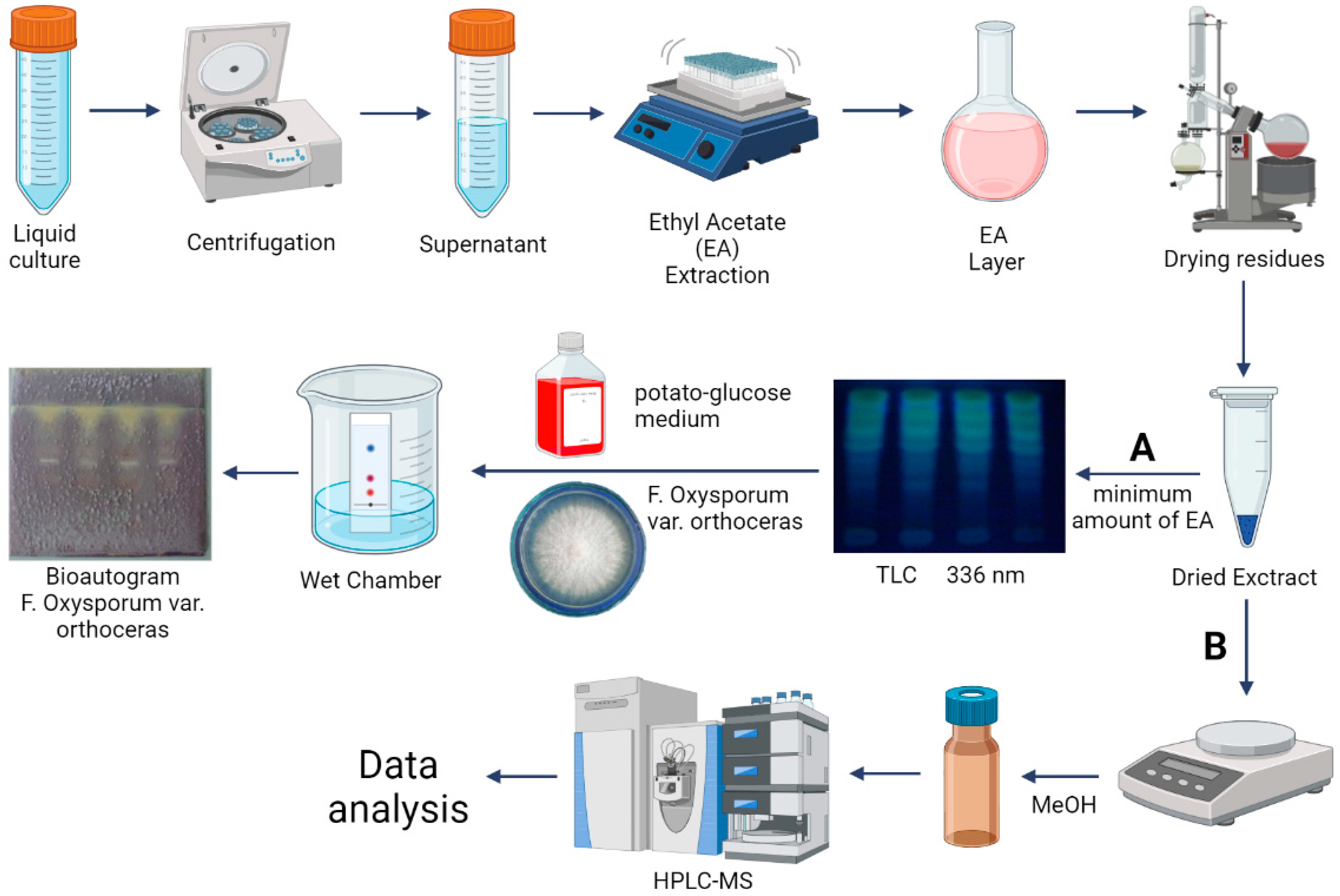 Microorganisms 11 01943 g001 Microorganisms 11 01943 g001
