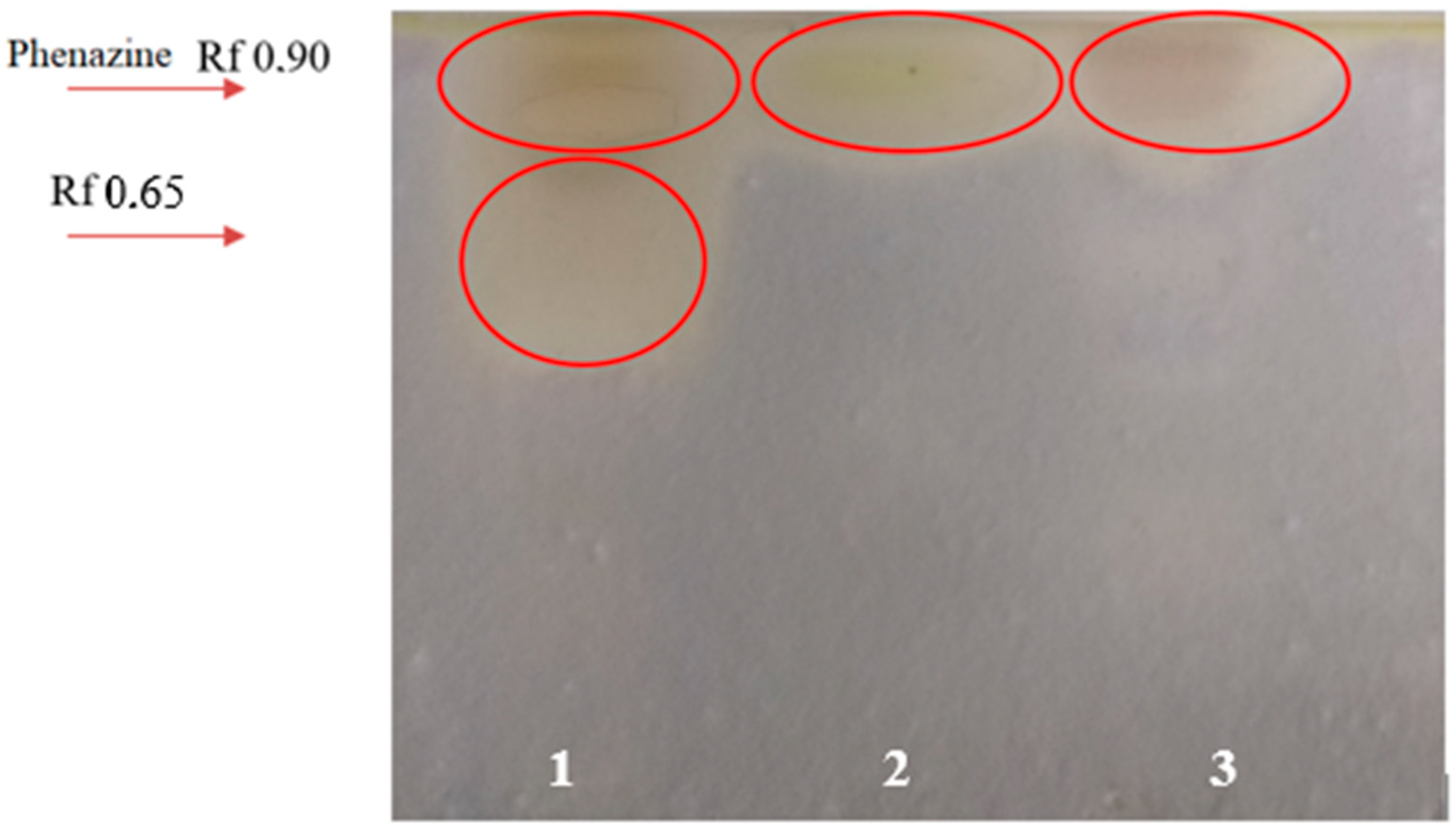 Microorganisms 11 01943 g004 Microorganisms 11 01943 g004