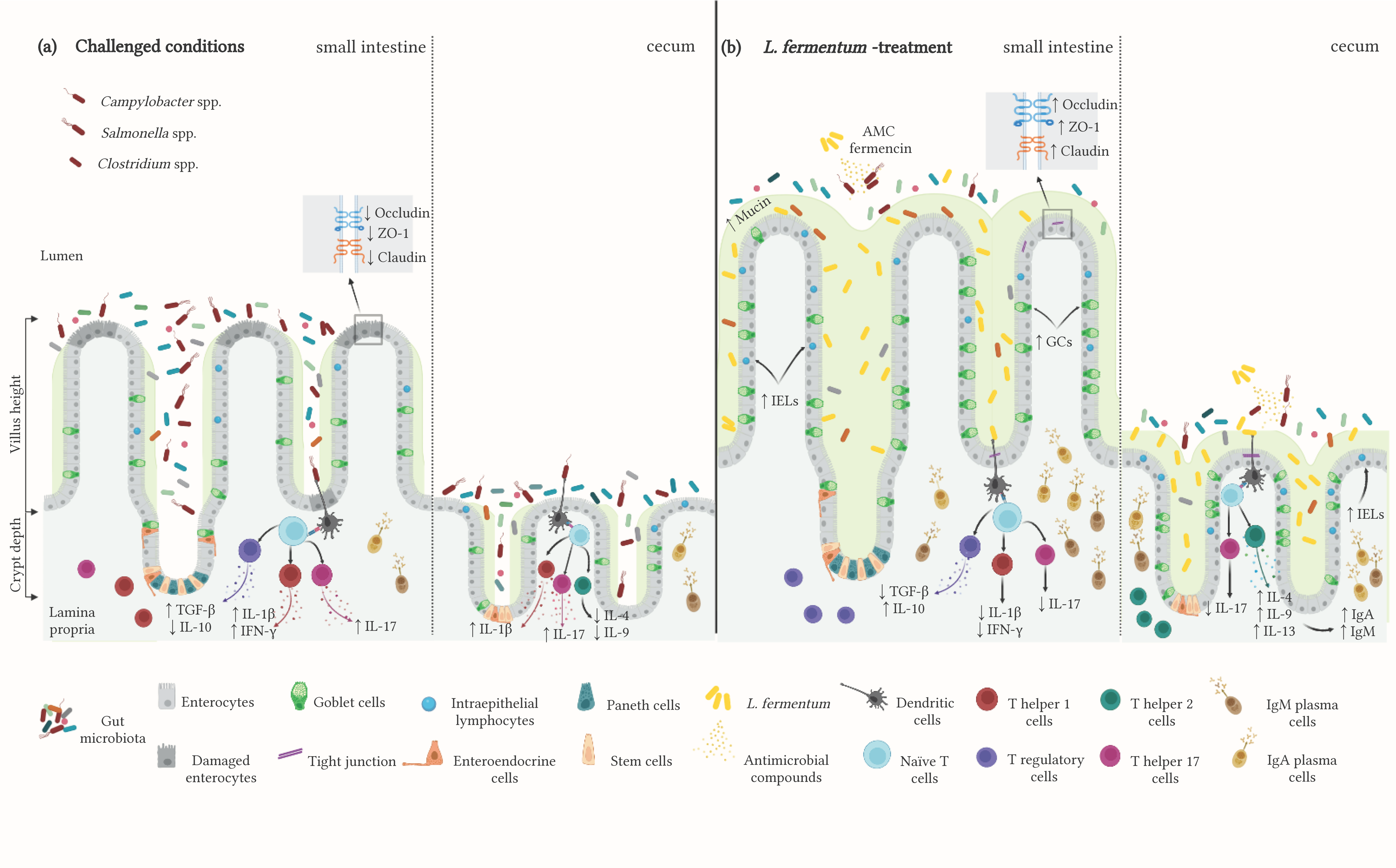 Microorganisms 11 01944 g001 Microorganisms 11 01944 g001