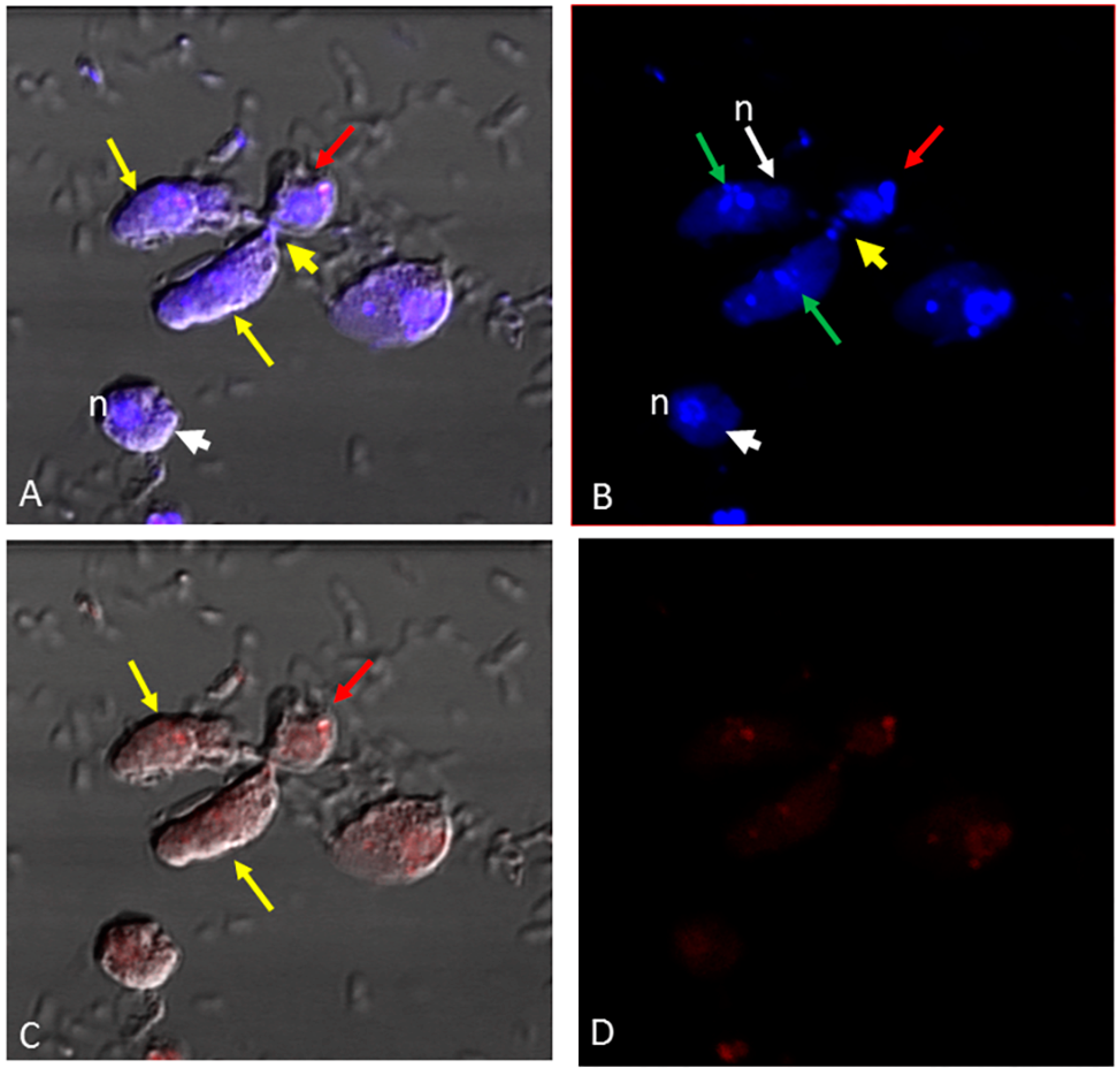 Microorganisms 11 01945 g004