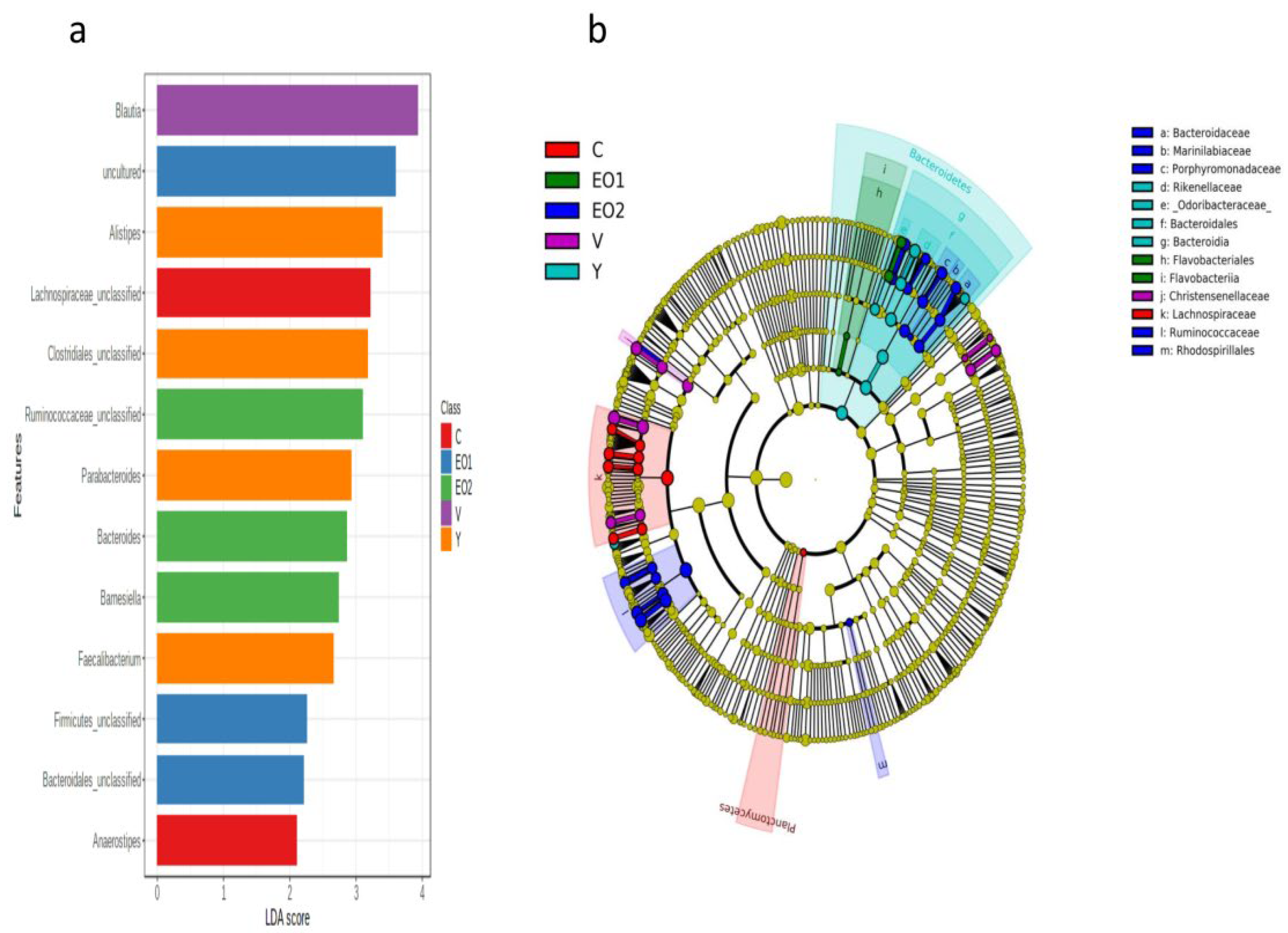 Microorganisms 11 01960 g005