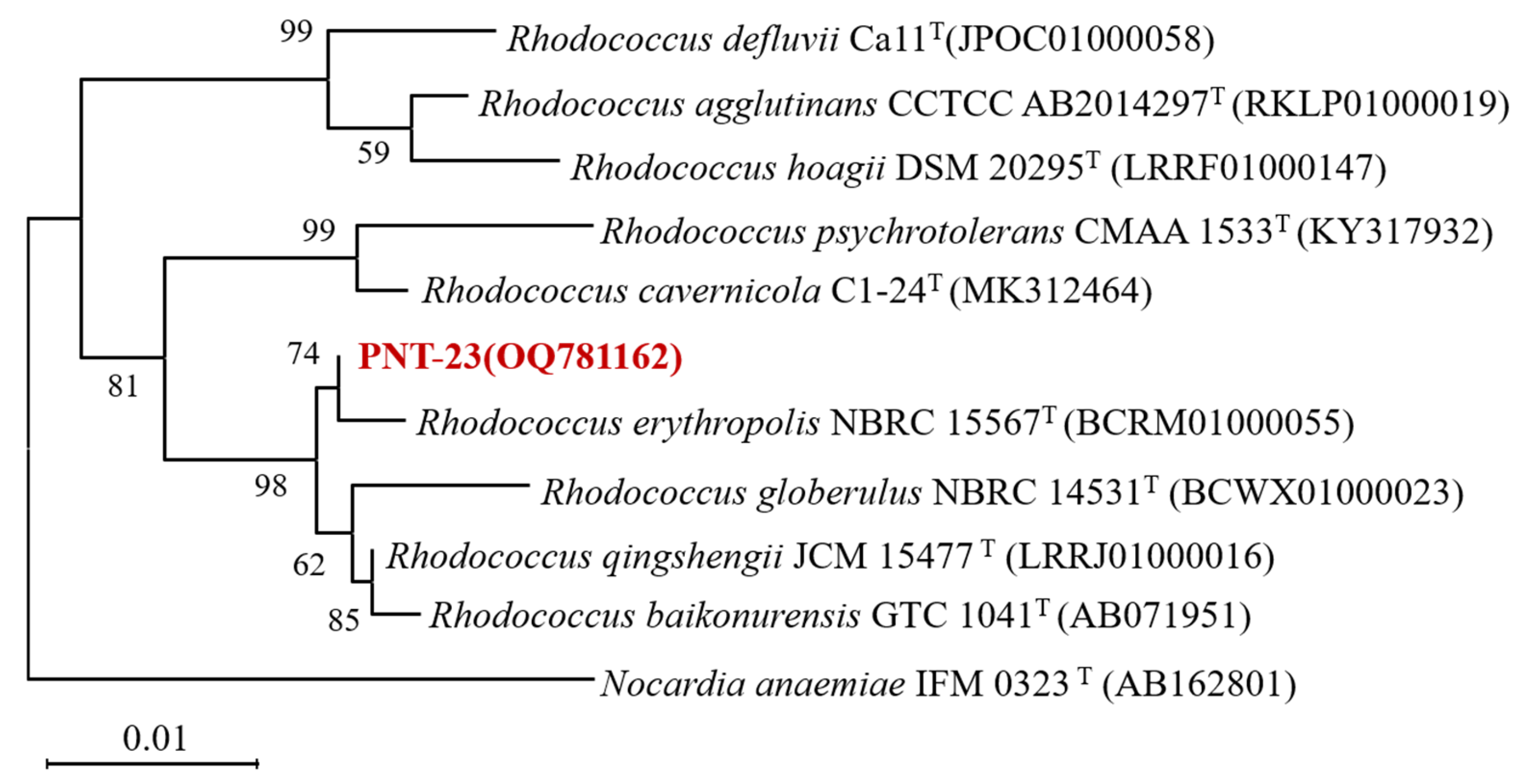 Microorganisms 11 01962 g001 Microorganisms 11 01962 g001