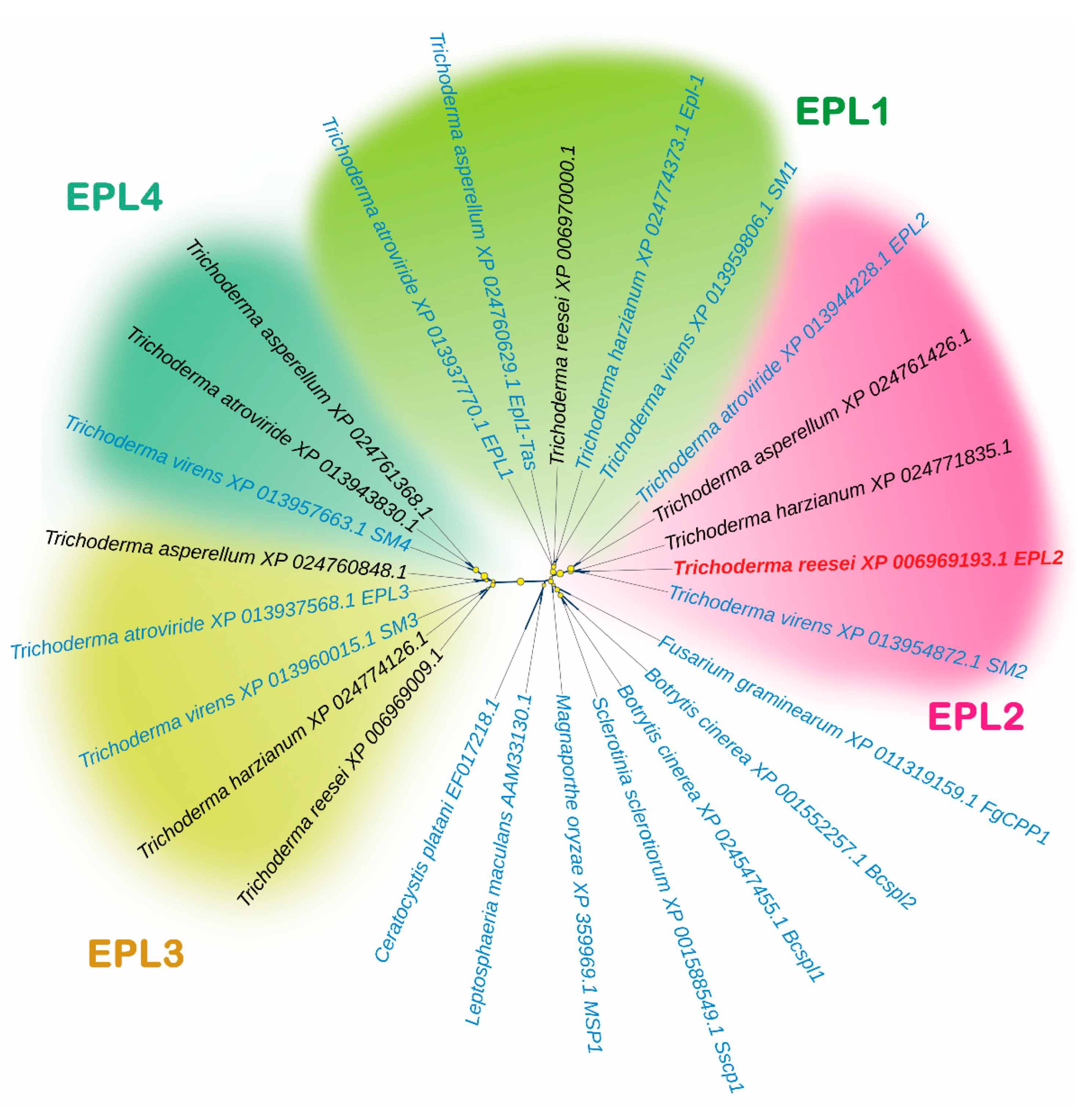 Microorganisms 11 01965 g001 Microorganisms 11 01965 g001