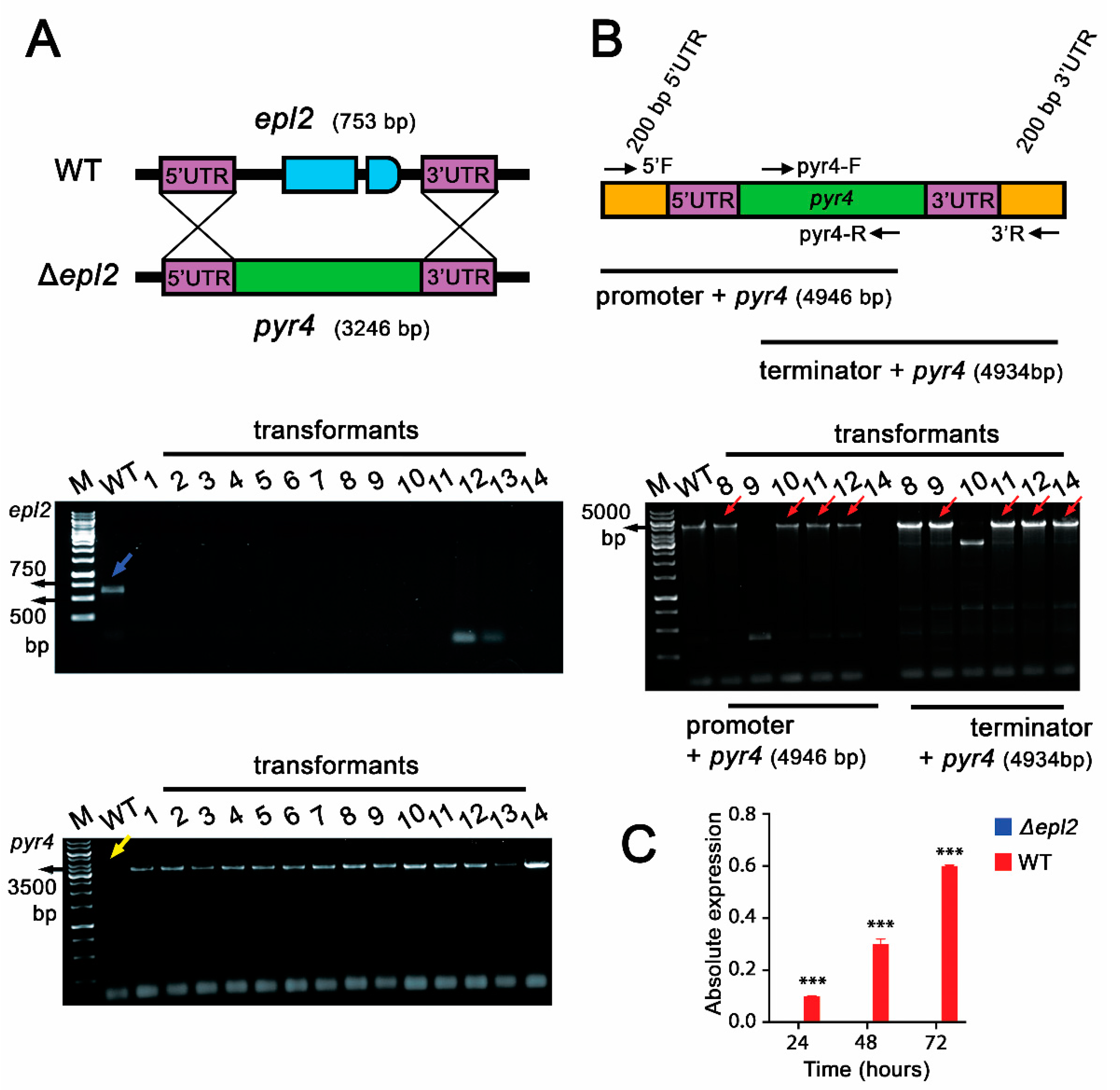 Microorganisms 11 01965 g002 Microorganisms 11 01965 g002