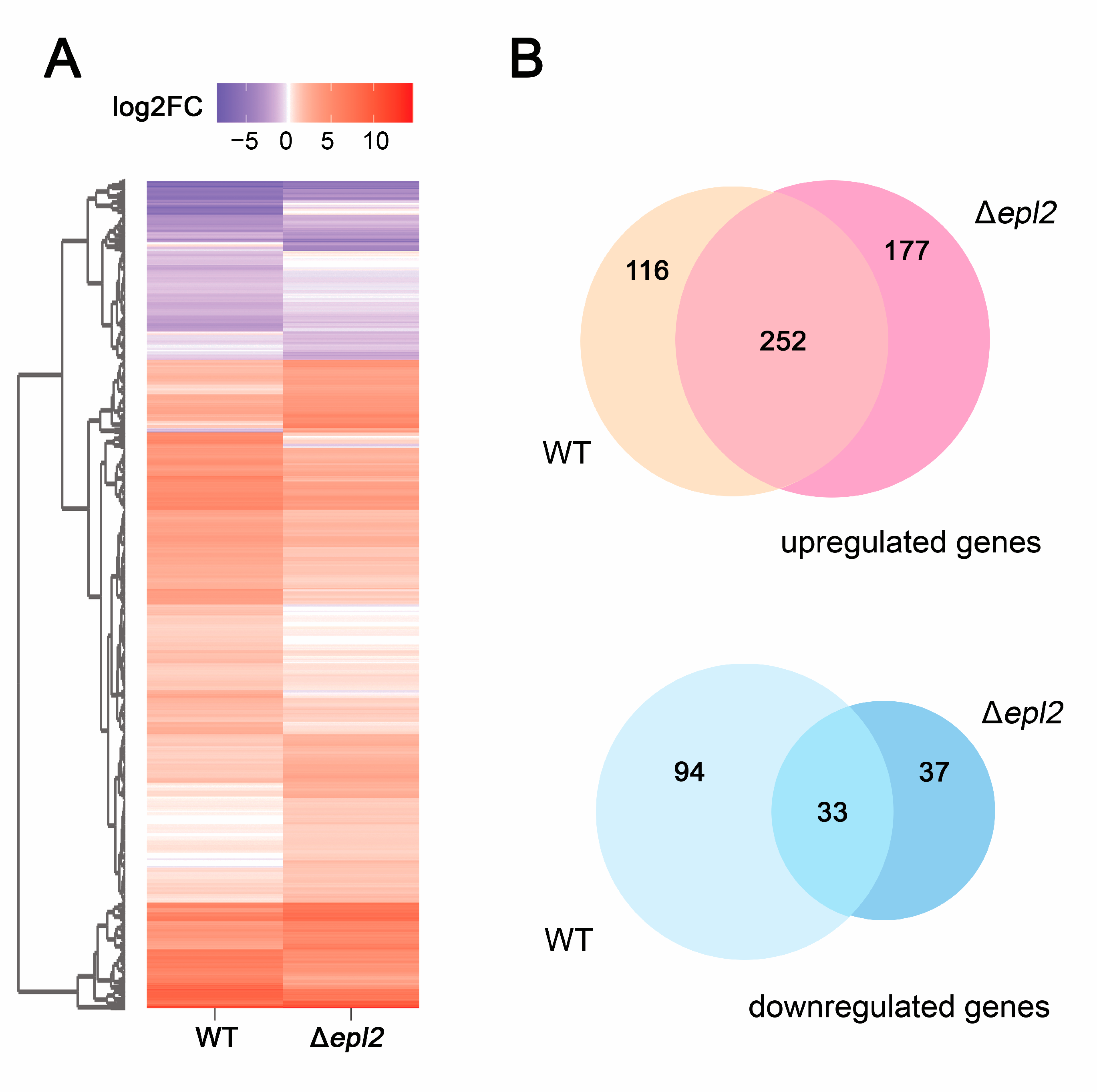 Microorganisms 11 01965 g003 Microorganisms 11 01965 g003
