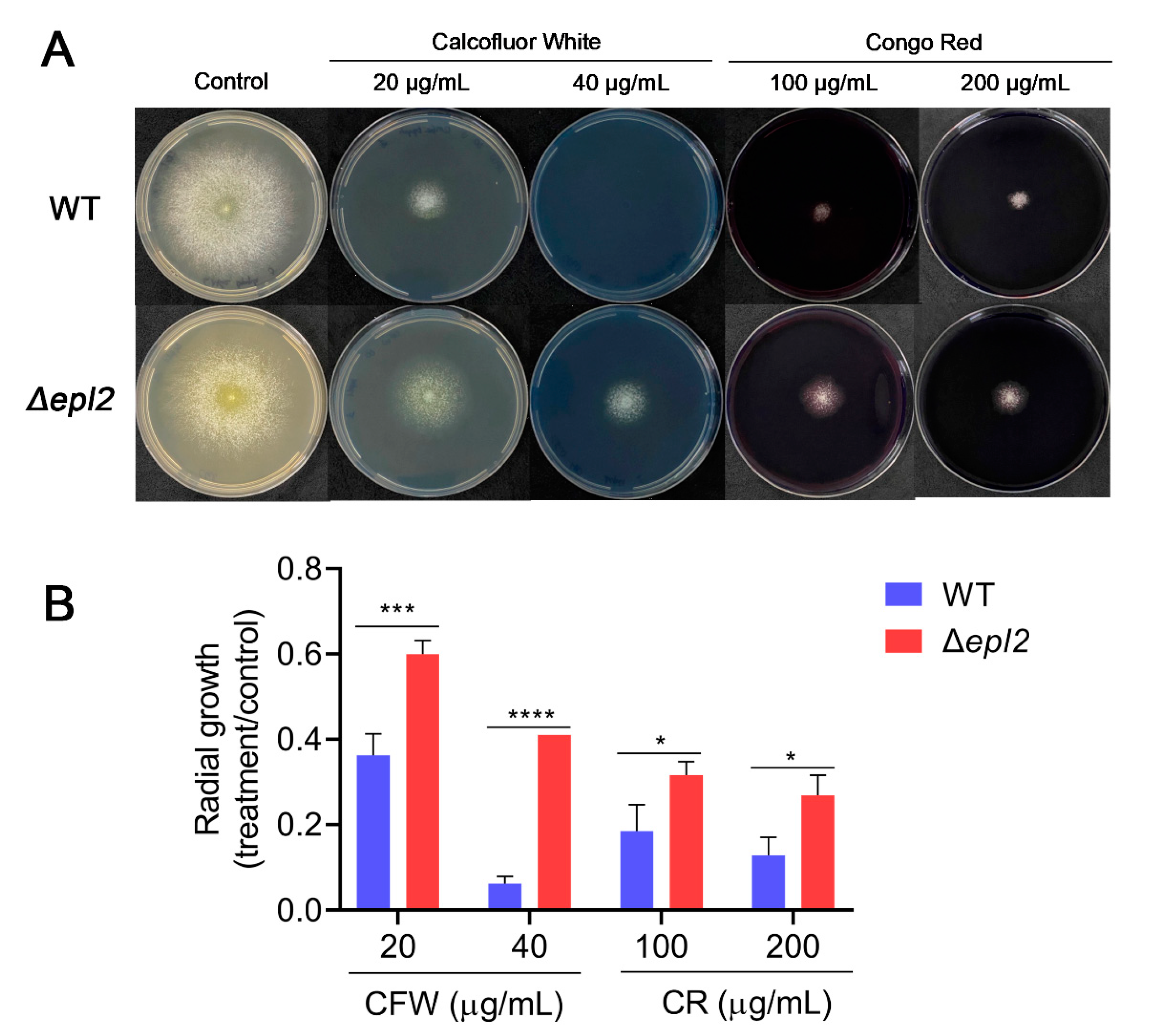 Microorganisms 11 01965 g005 Microorganisms 11 01965 g005