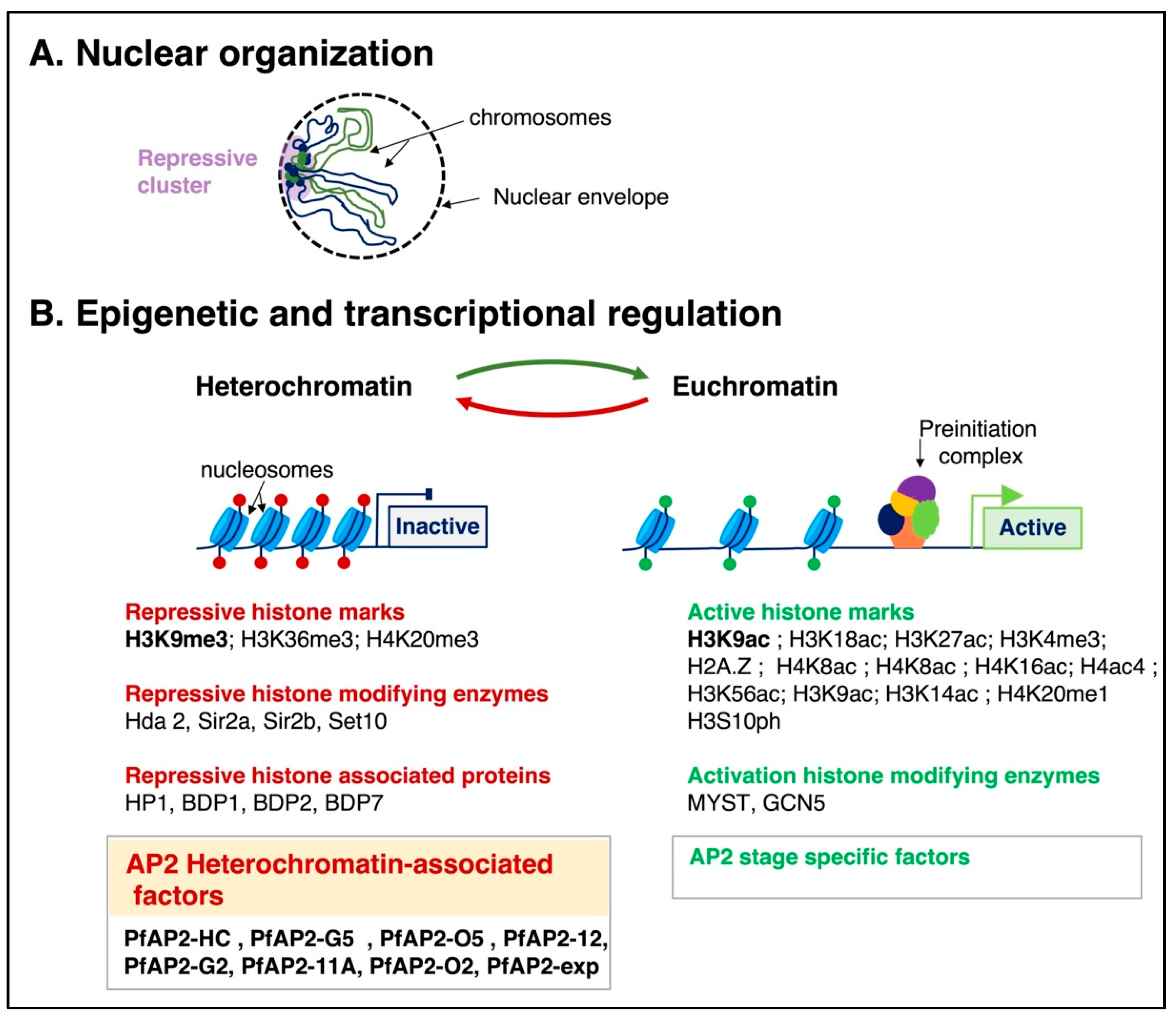 Microorganisms 11 01966 g002