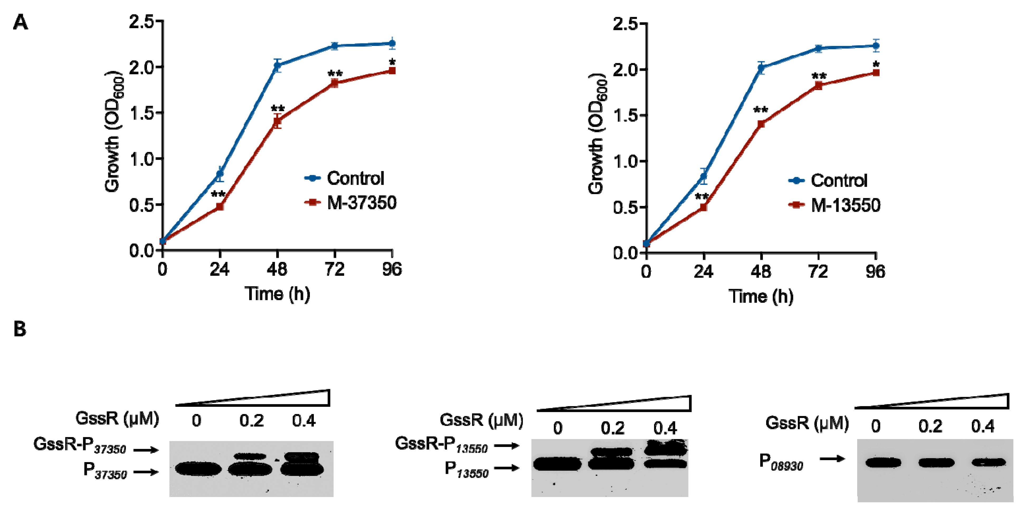 Microorganisms 11 01968 g003