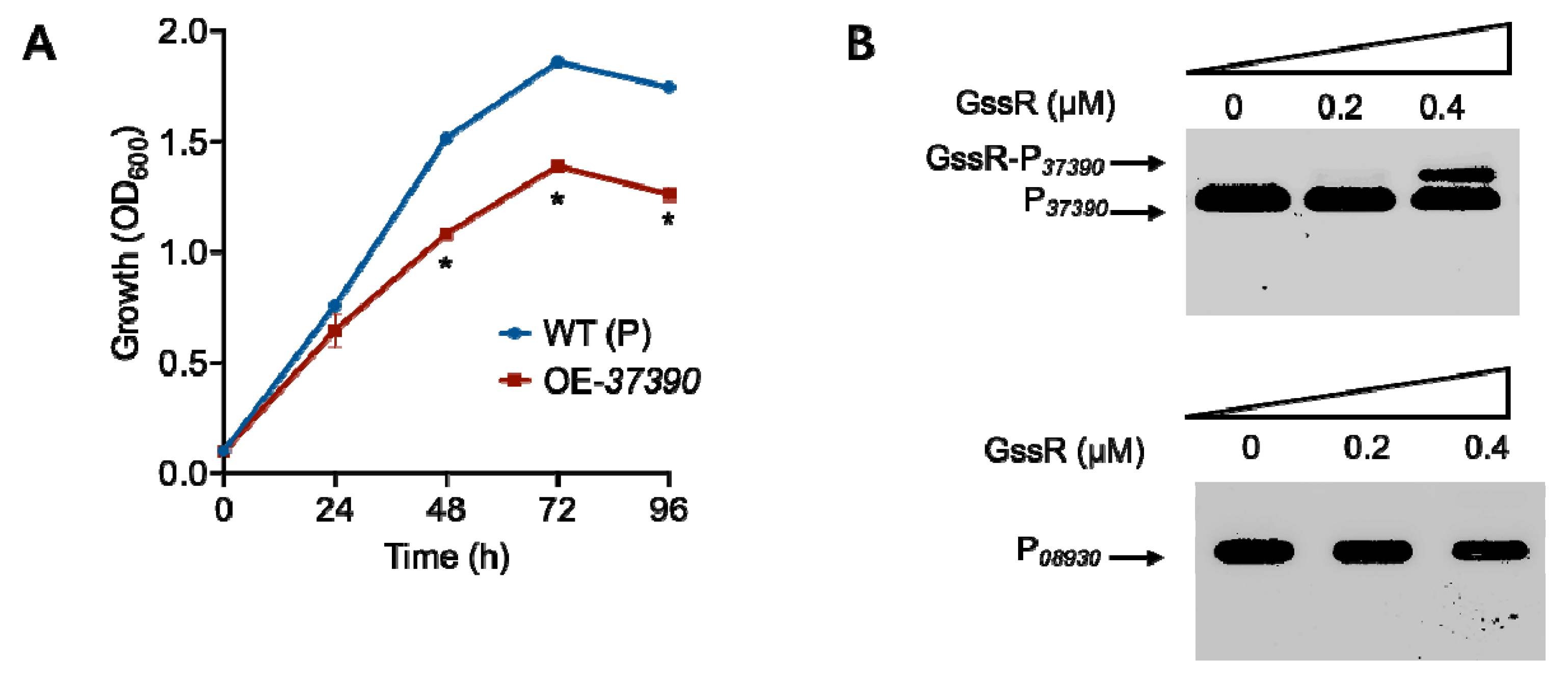 Microorganisms 11 01968 g004
