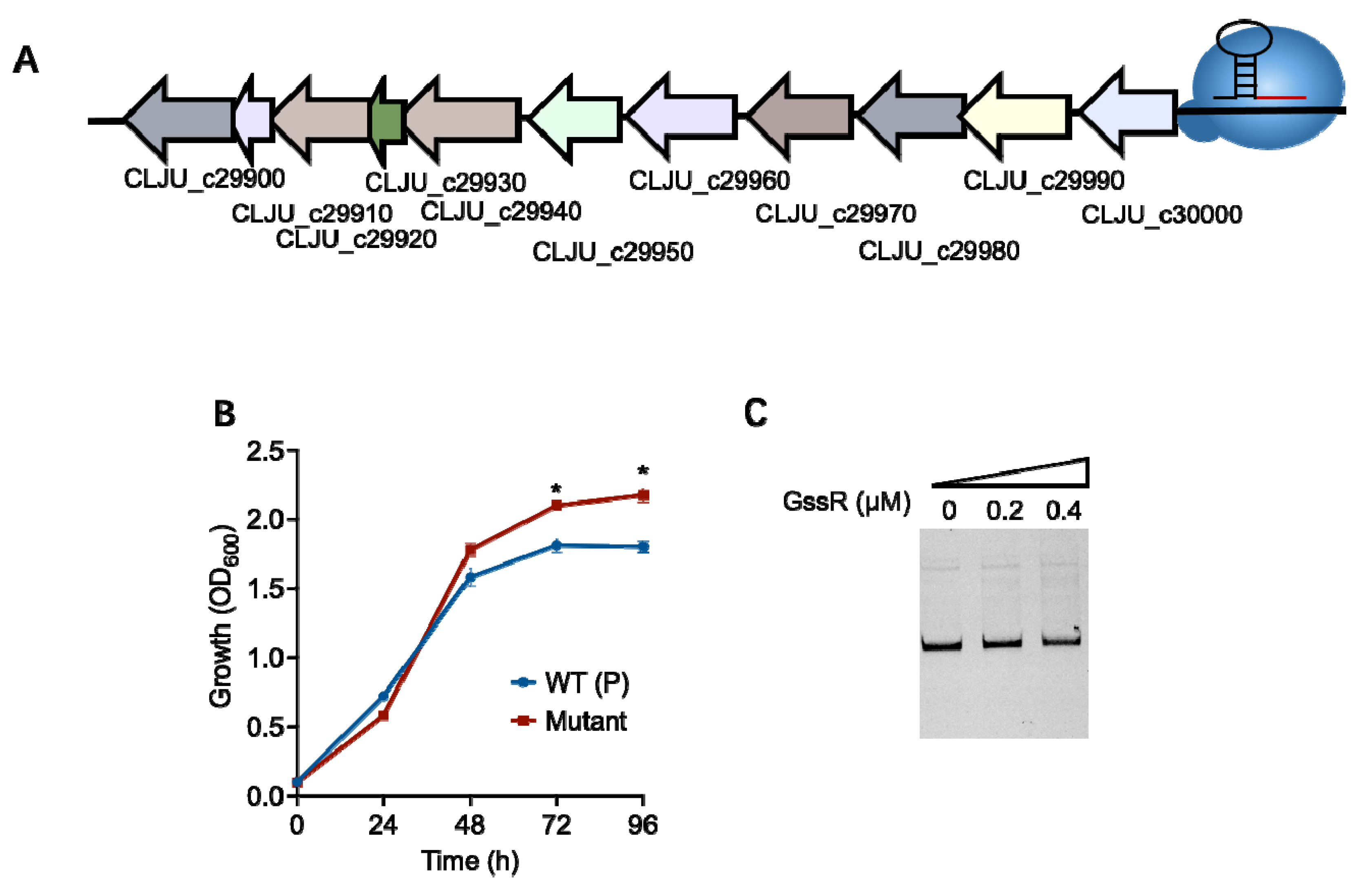 Microorganisms 11 01968 g005
