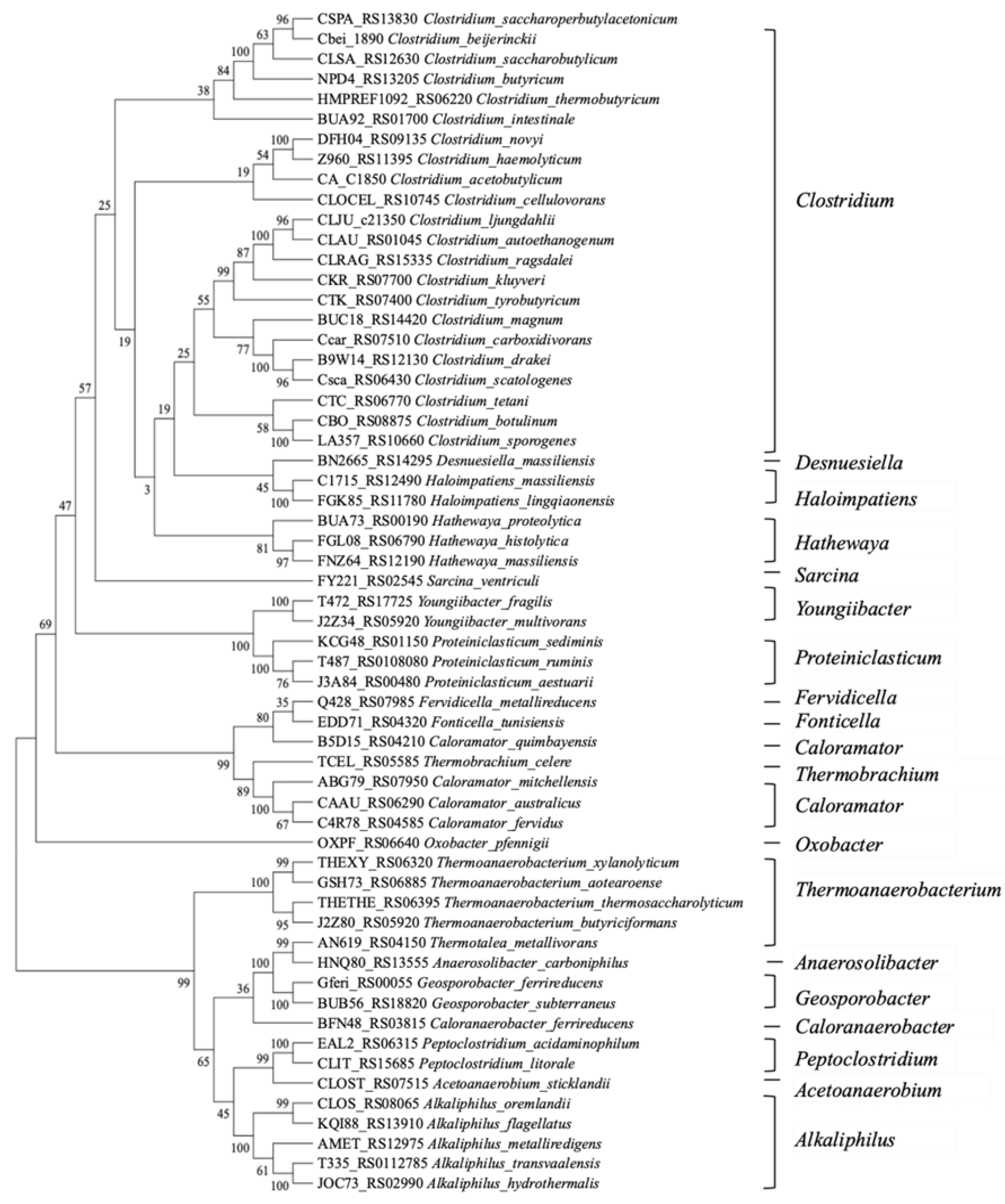 Microorganisms 11 01968 g007