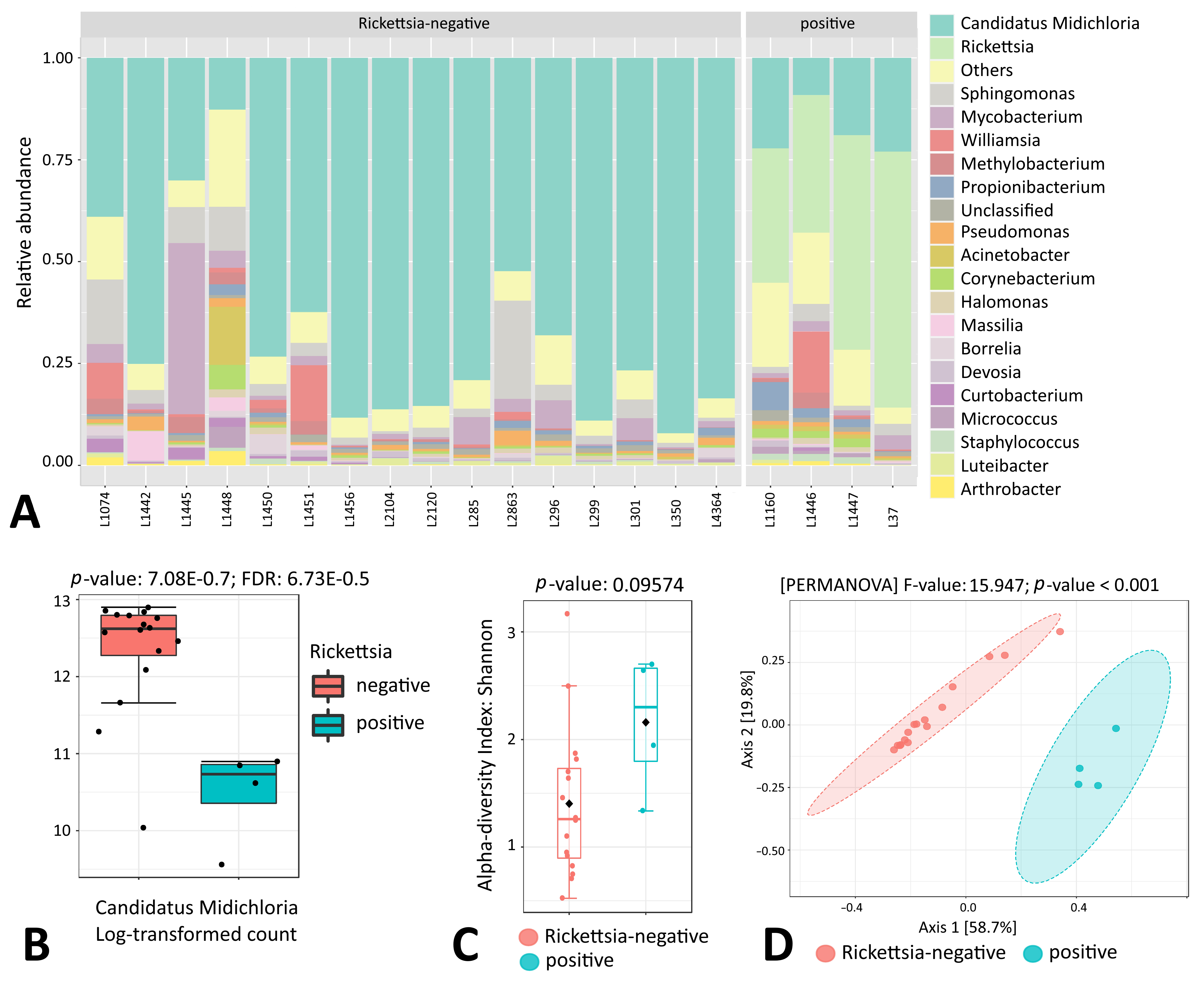 Microorganisms 11 01970 g007 Microorganisms 11 01970 g007