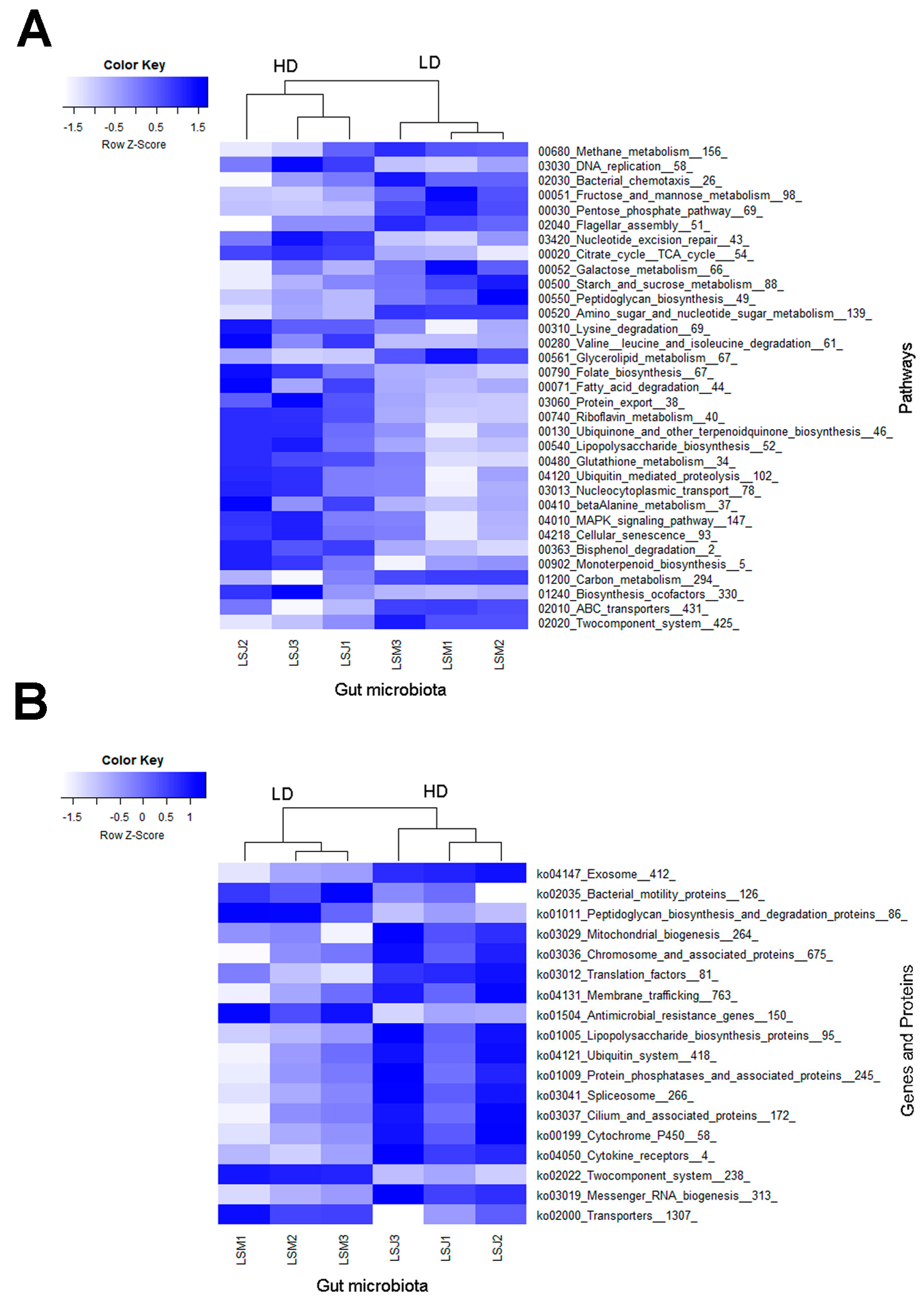 Microorganisms 11 01972 g005 Microorganisms 11 01972 g005