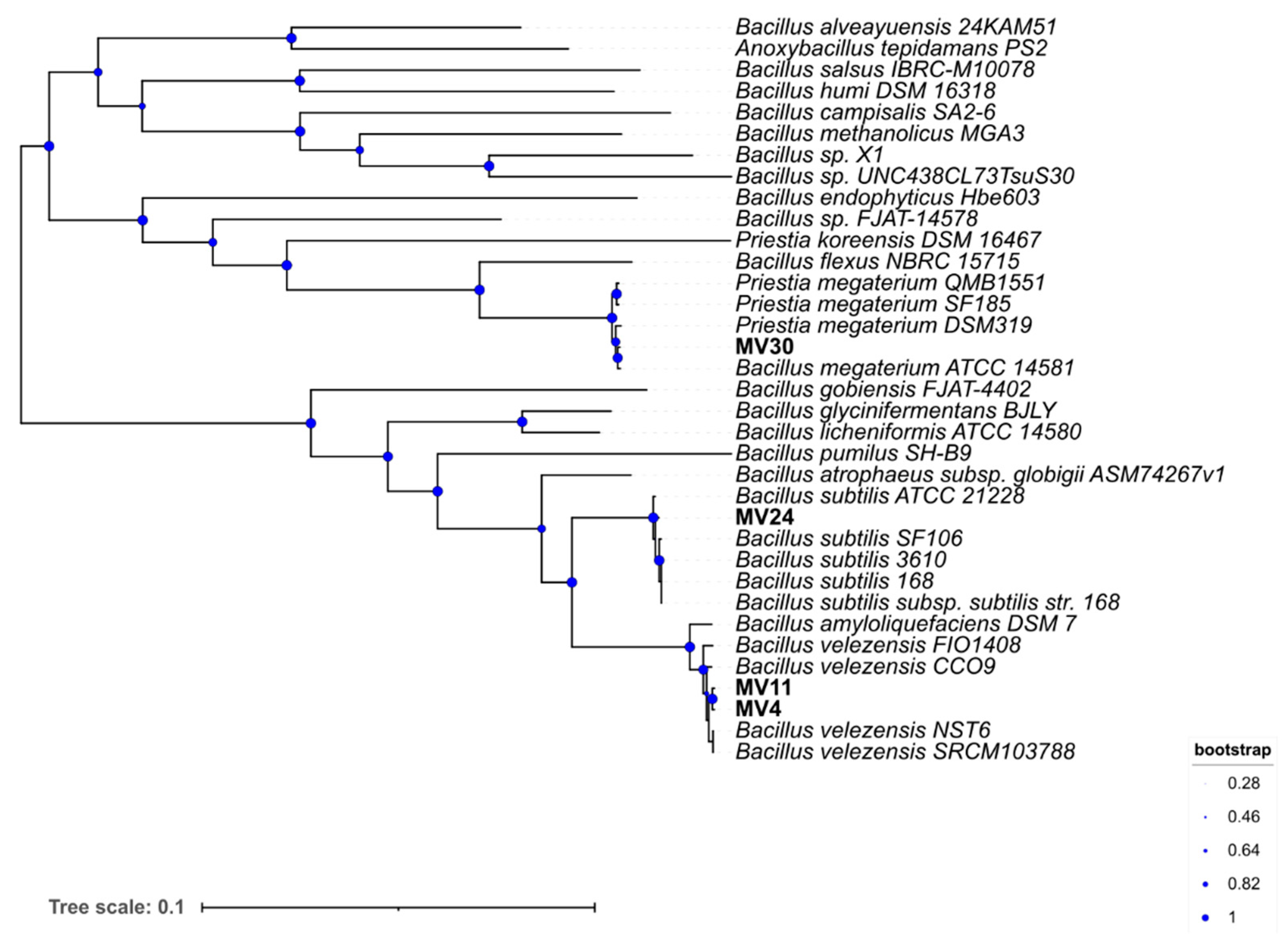 Microorganisms 11 01978 g001 Microorganisms 11 01978 g001