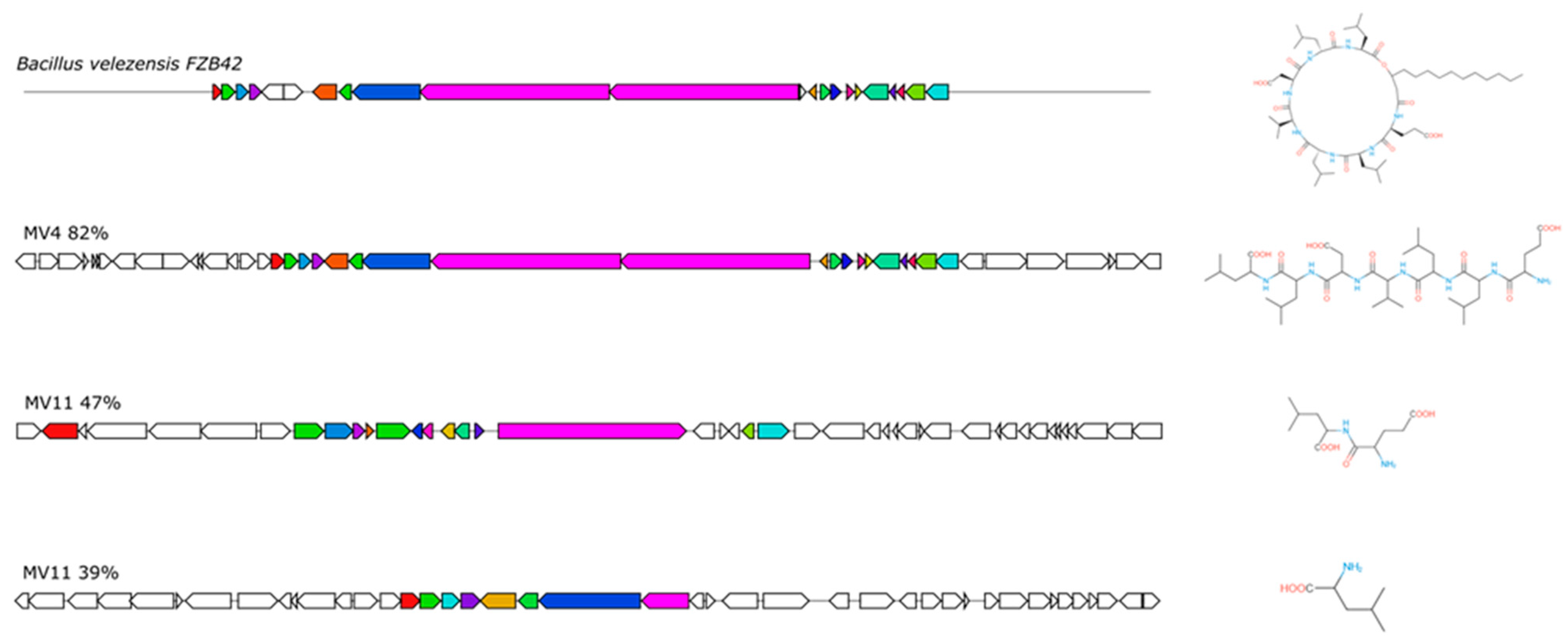 Microorganisms 11 01978 g004 Microorganisms 11 01978 g004