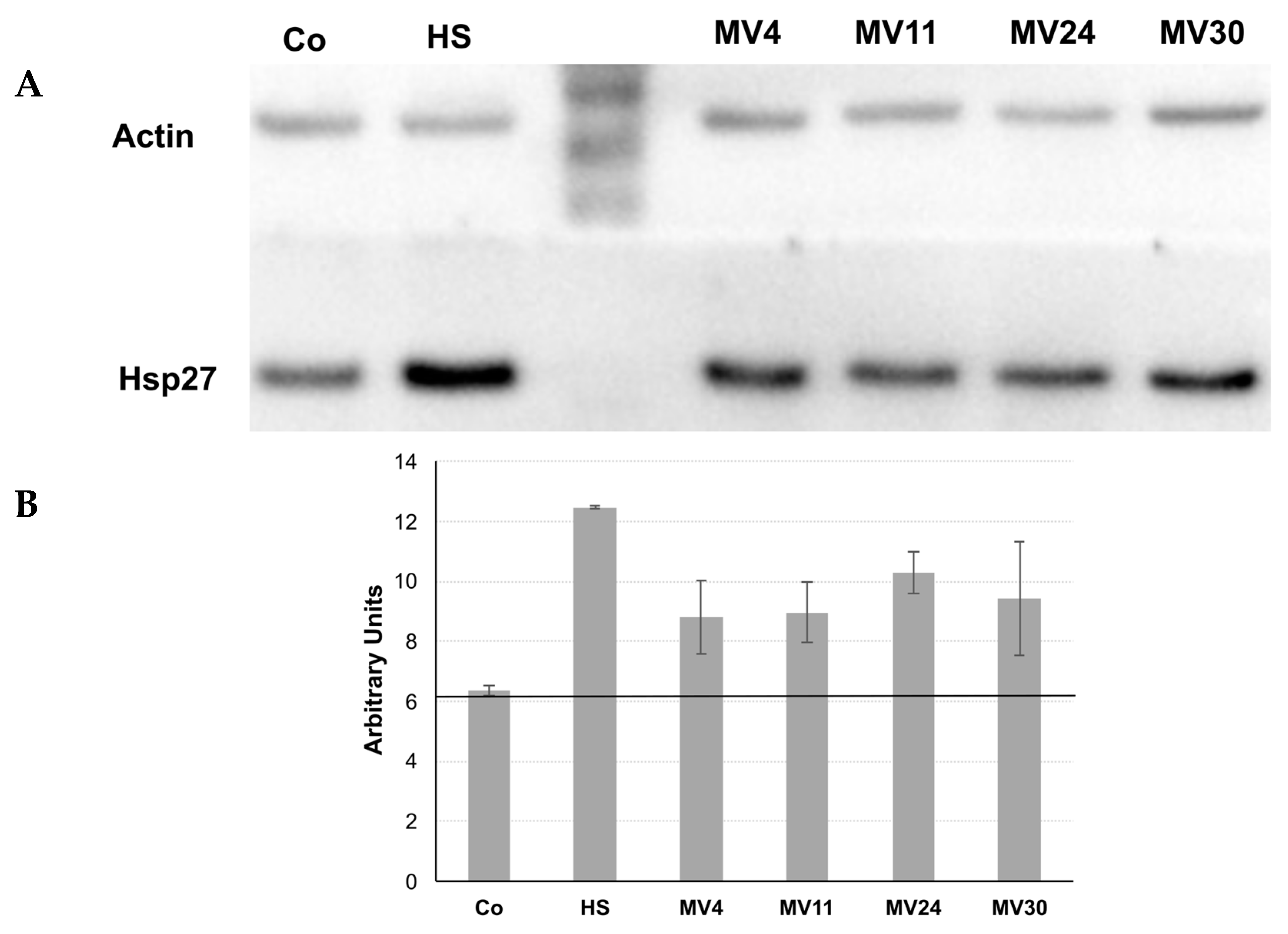 Microorganisms 11 01978 g007 Microorganisms 11 01978 g007