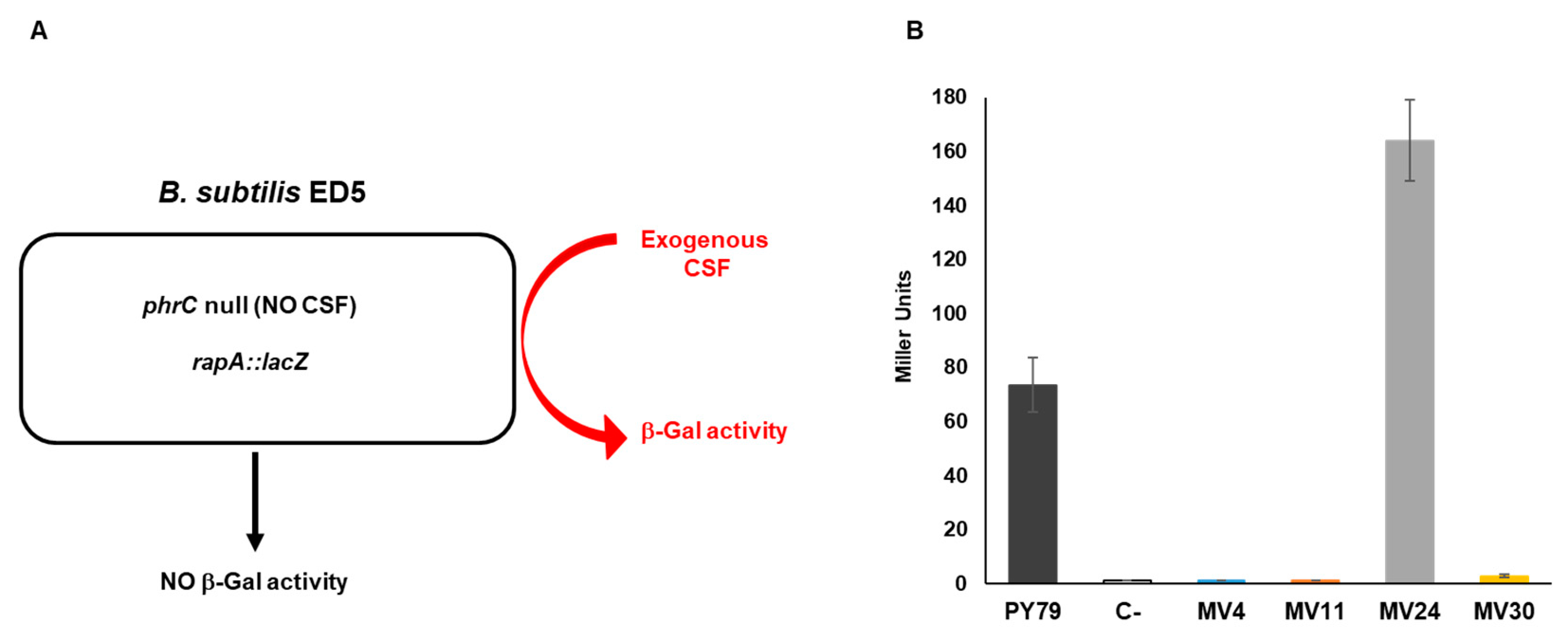 Microorganisms 11 01978 g008 Microorganisms 11 01978 g008