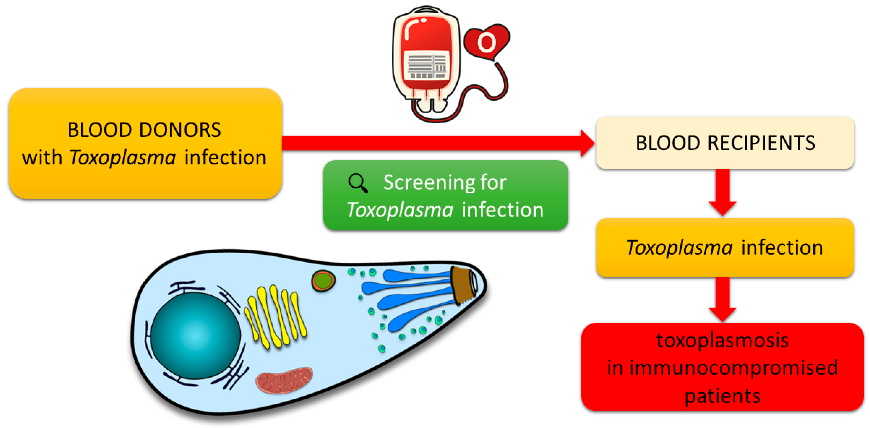 Microorganisms 11 01980 g001