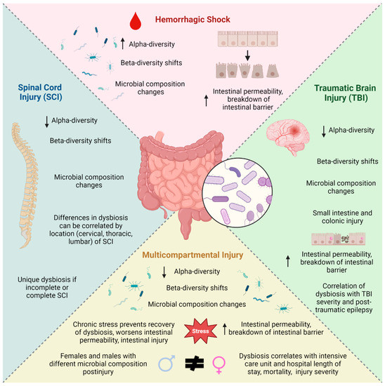 The Intestinal Microbiome after Traumatic Injury