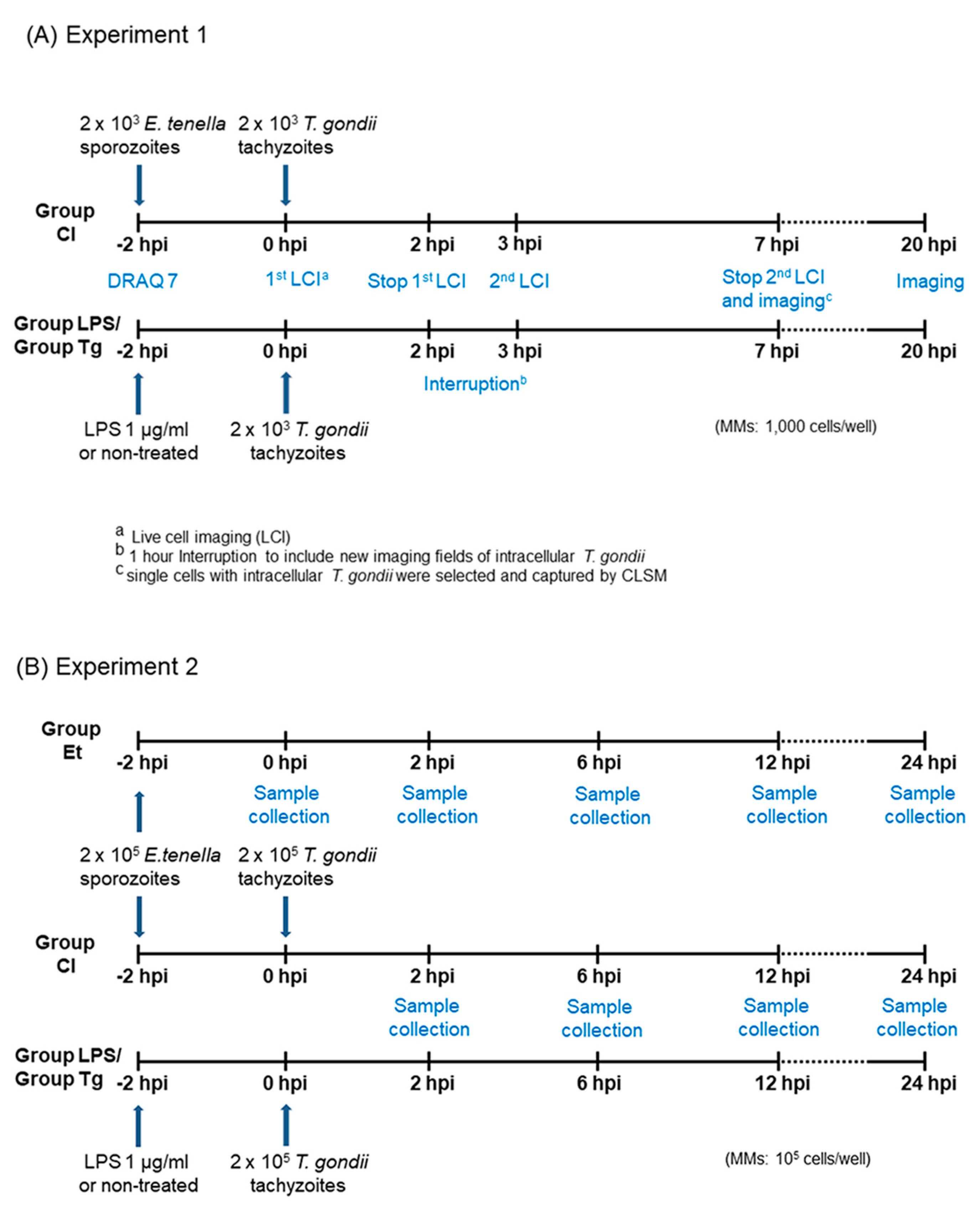Microorganisms 11 01999 g001