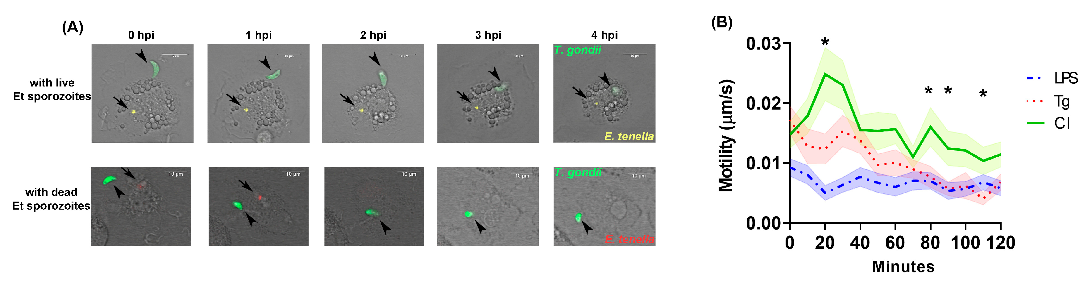 Microorganisms 11 01999 g002