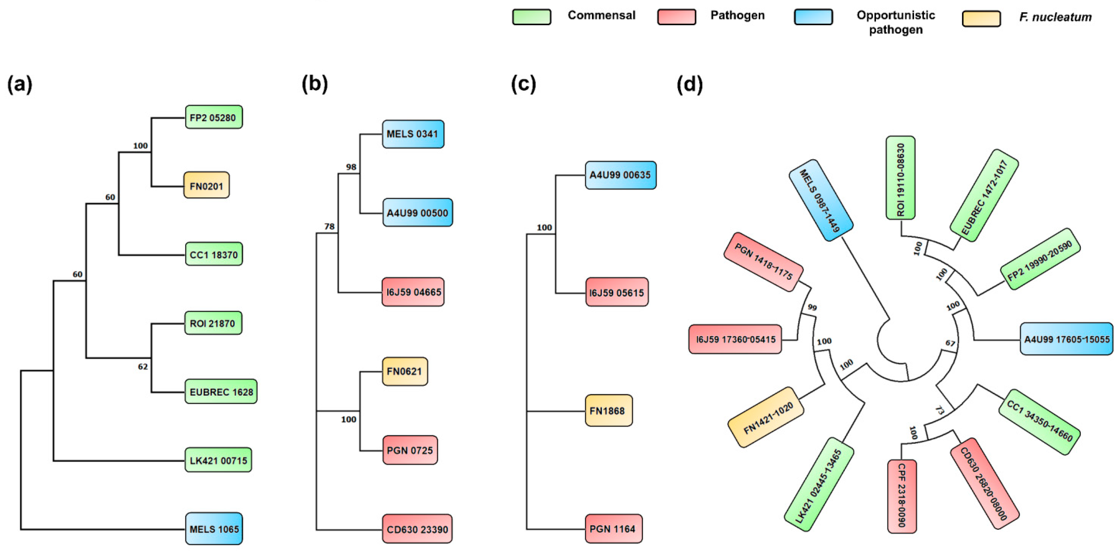 Microorganisms 11 02004 g005