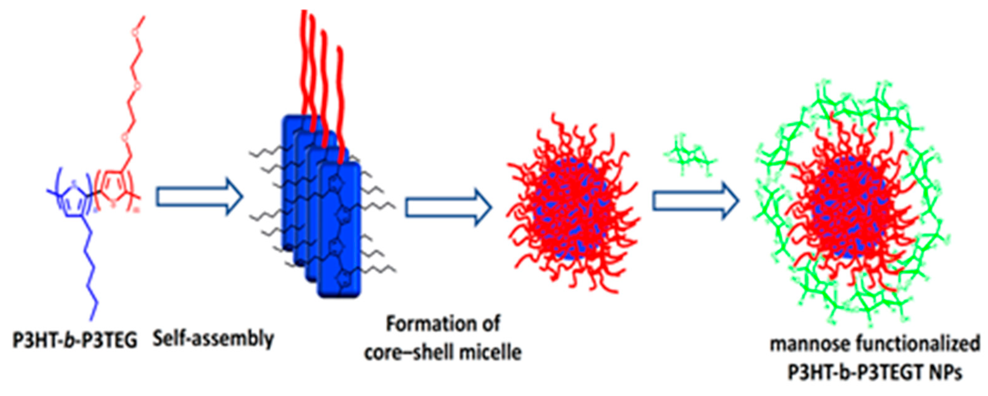 Microorganisms 11 02006 g009 Microorganisms 11 02006 g009