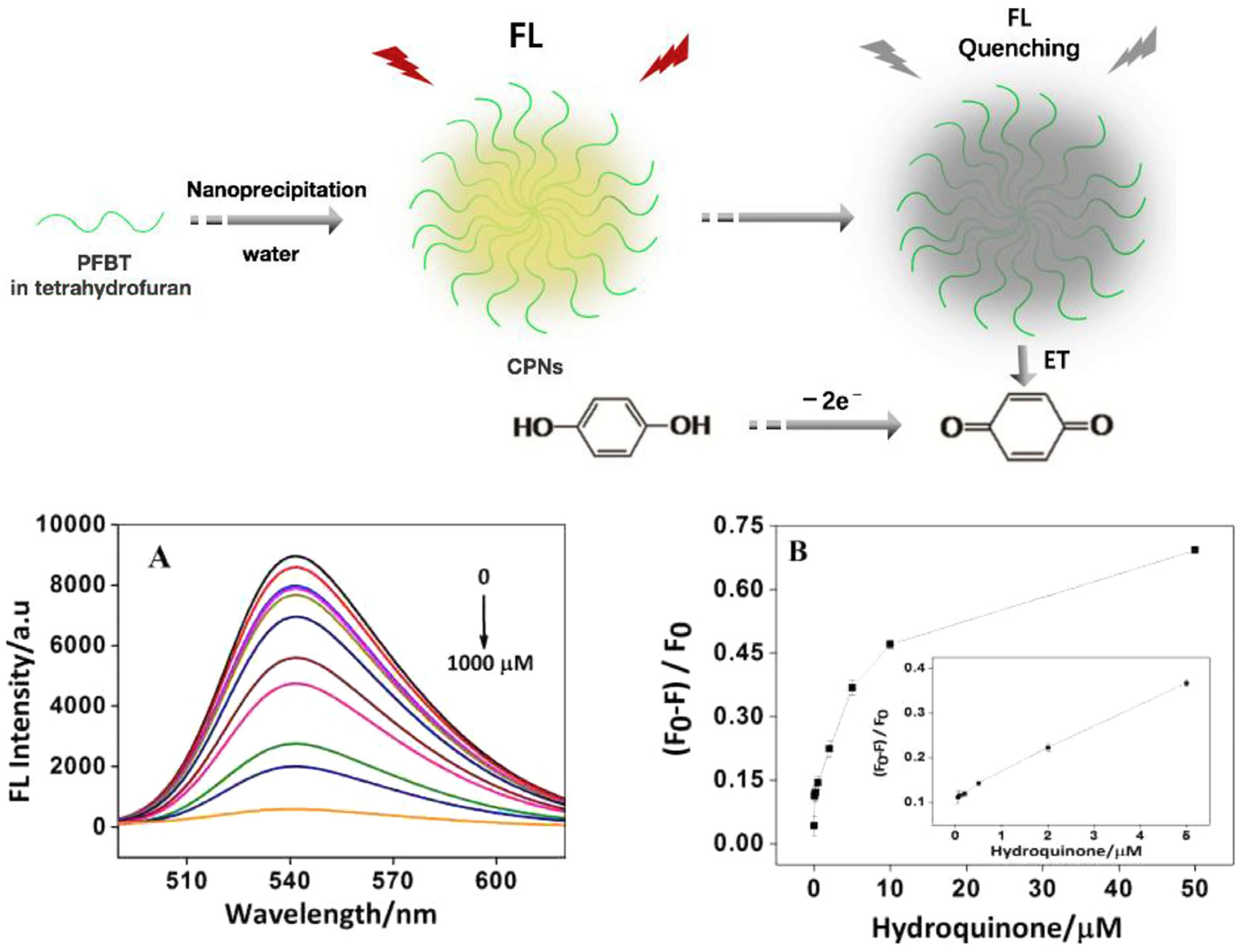Microorganisms 11 02006 g015 Microorganisms 11 02006 g015