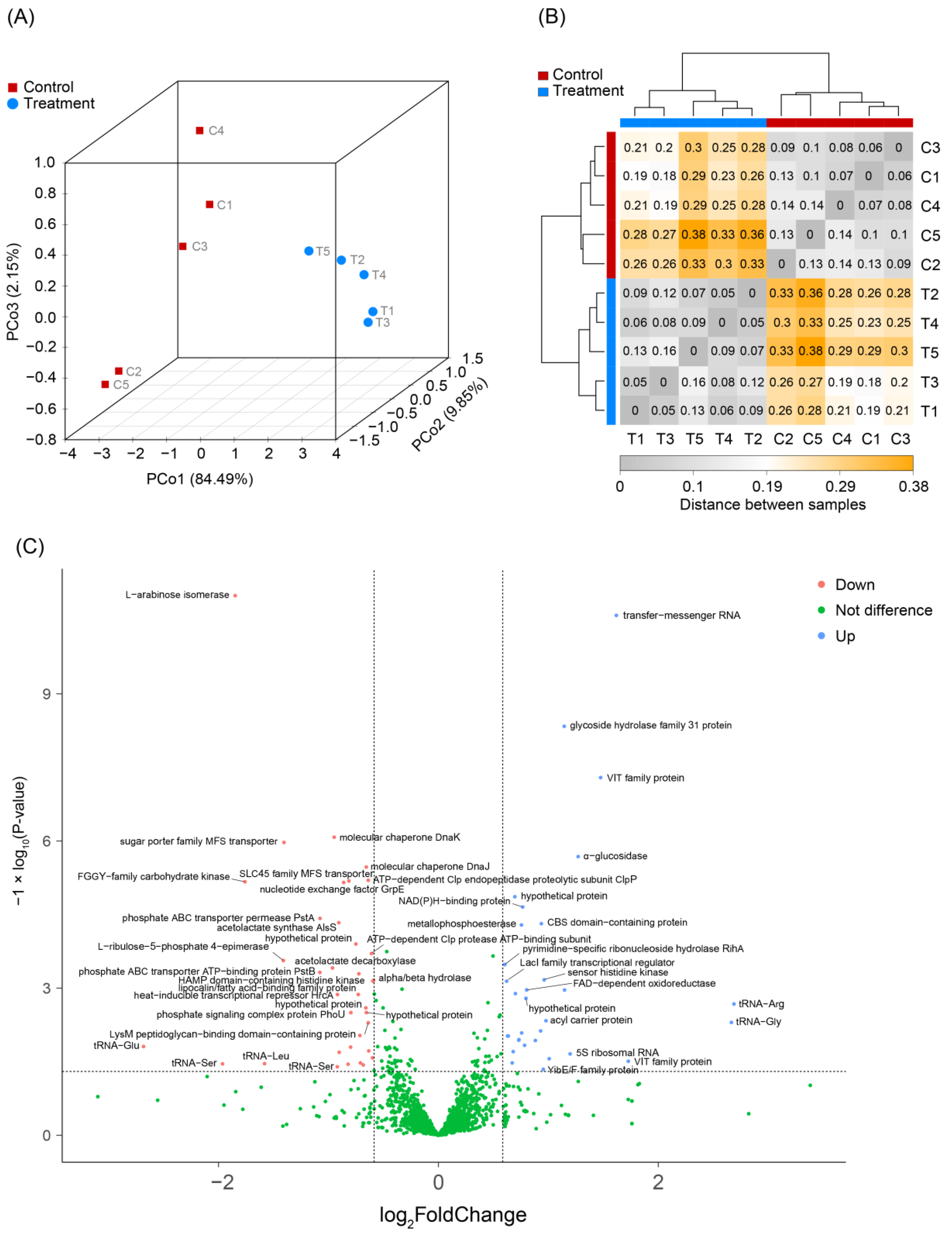 Microorganisms 11 02007 g002 Microorganisms 11 02007 g002