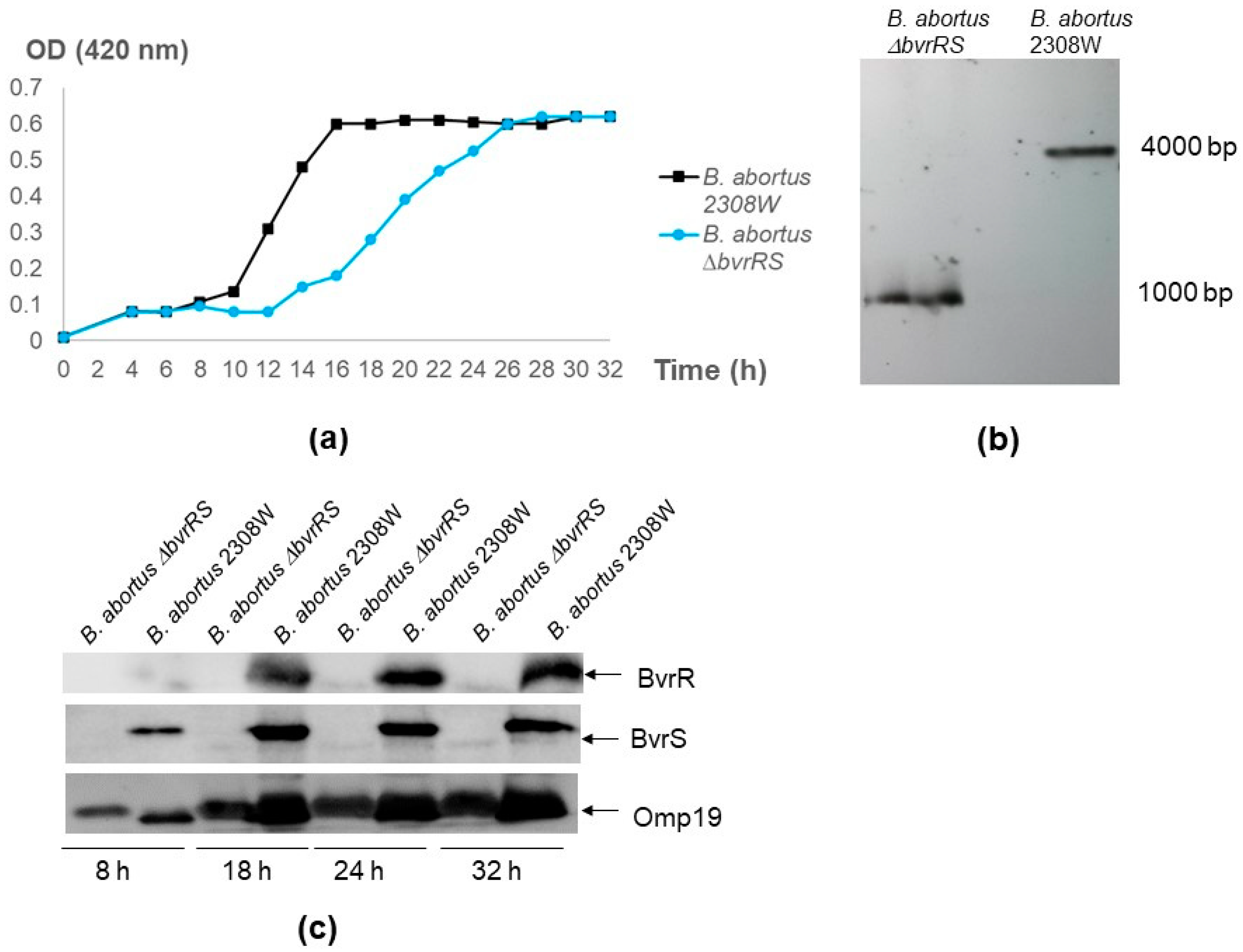 Microorganisms 11 02014 g001