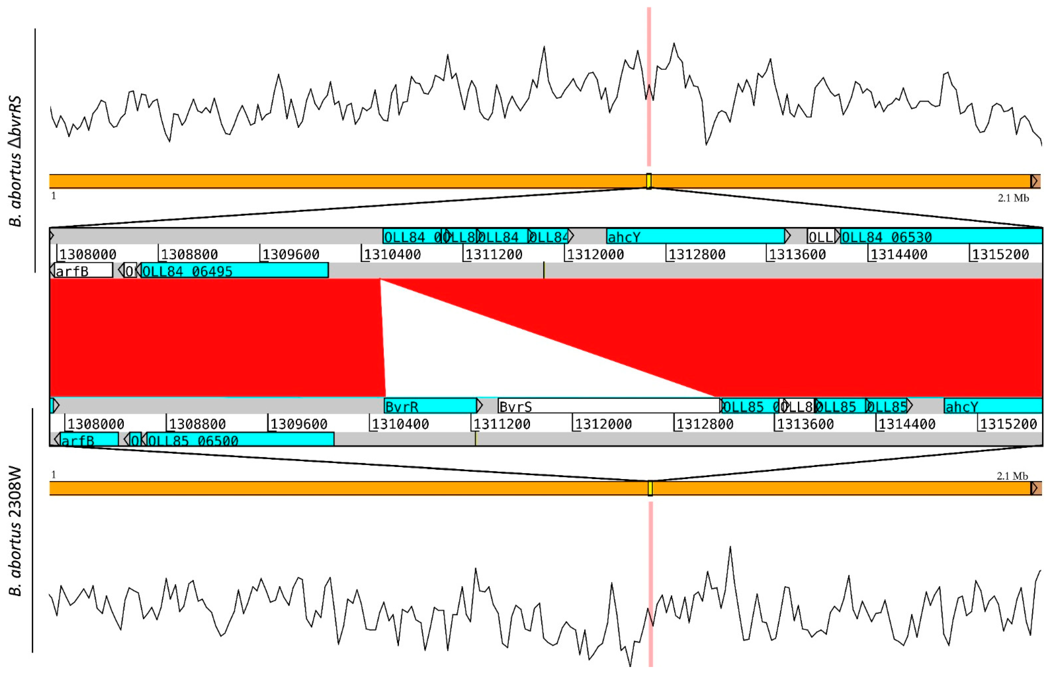 Microorganisms 11 02014 g002