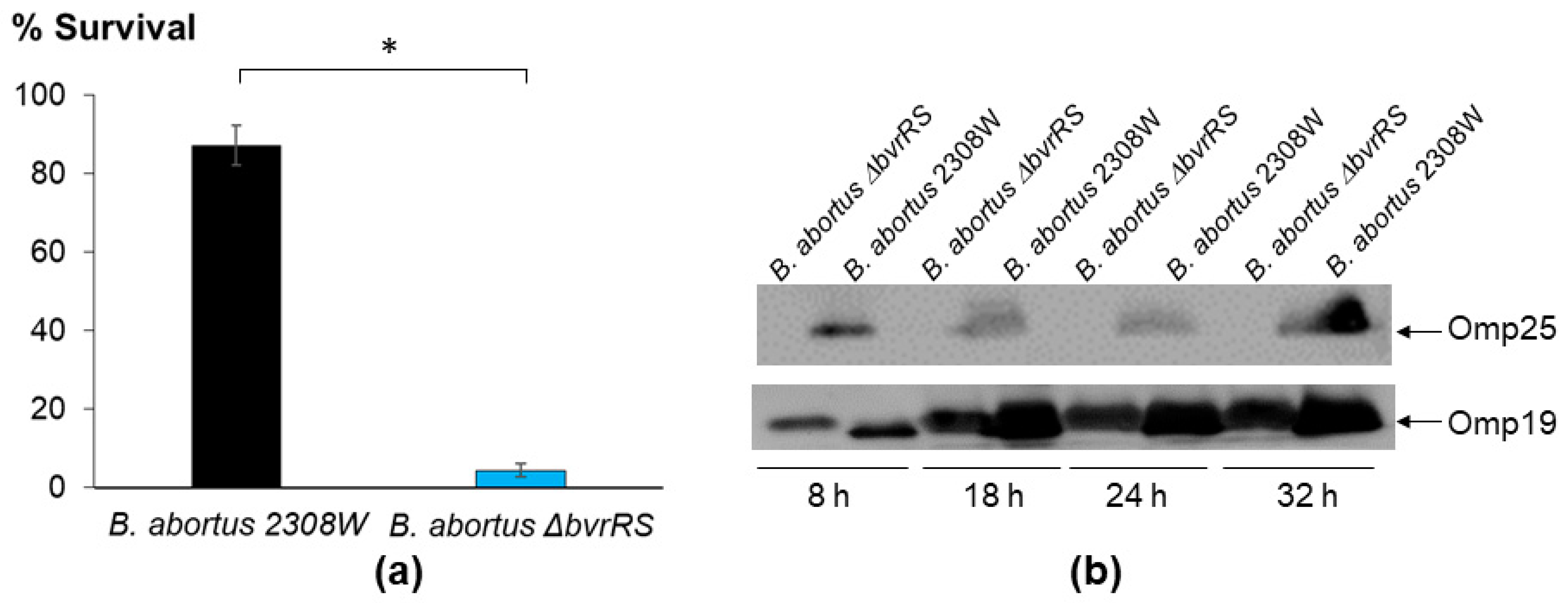 Microorganisms 11 02014 g004