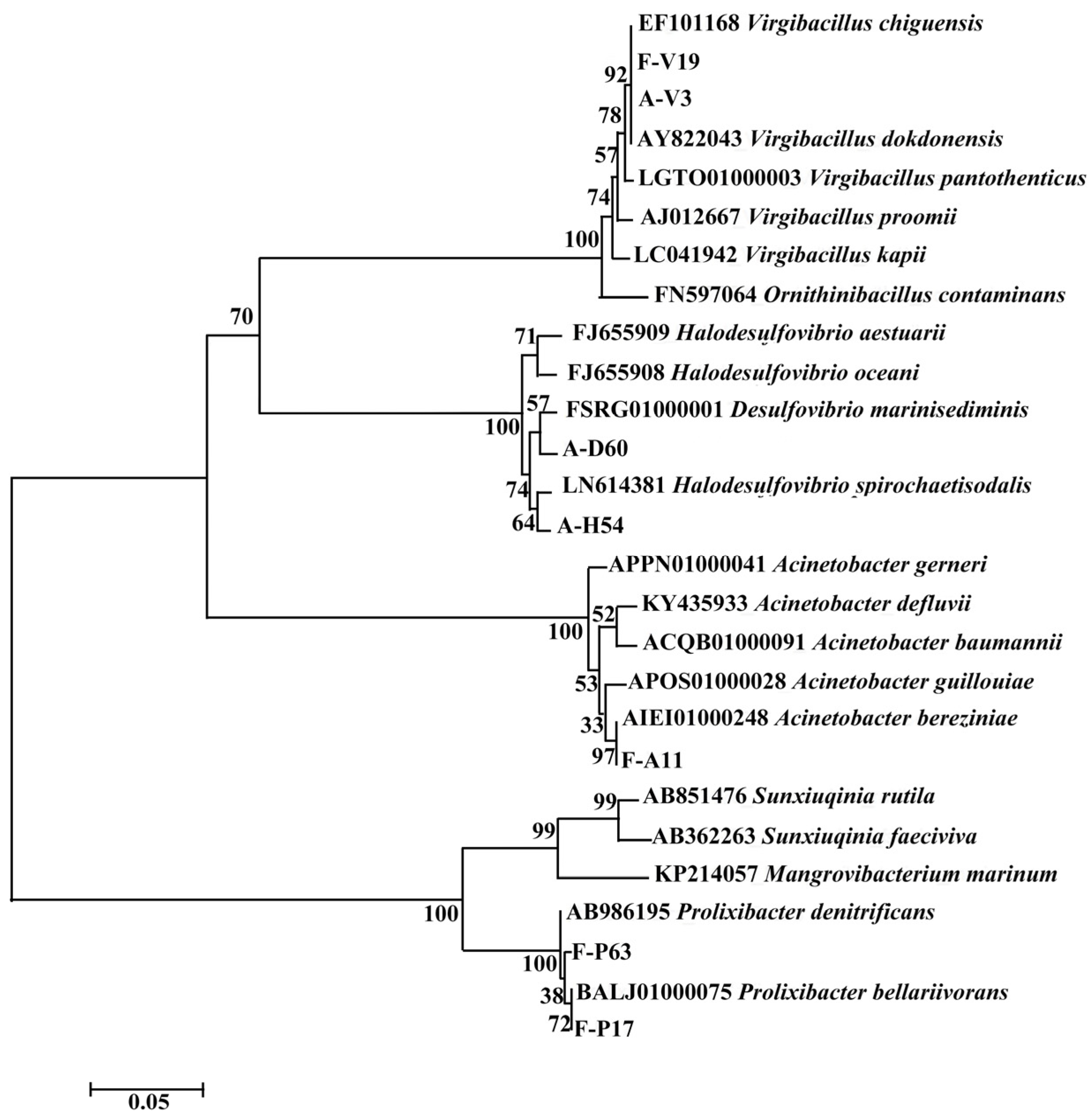 Microorganisms 11 02019 g004