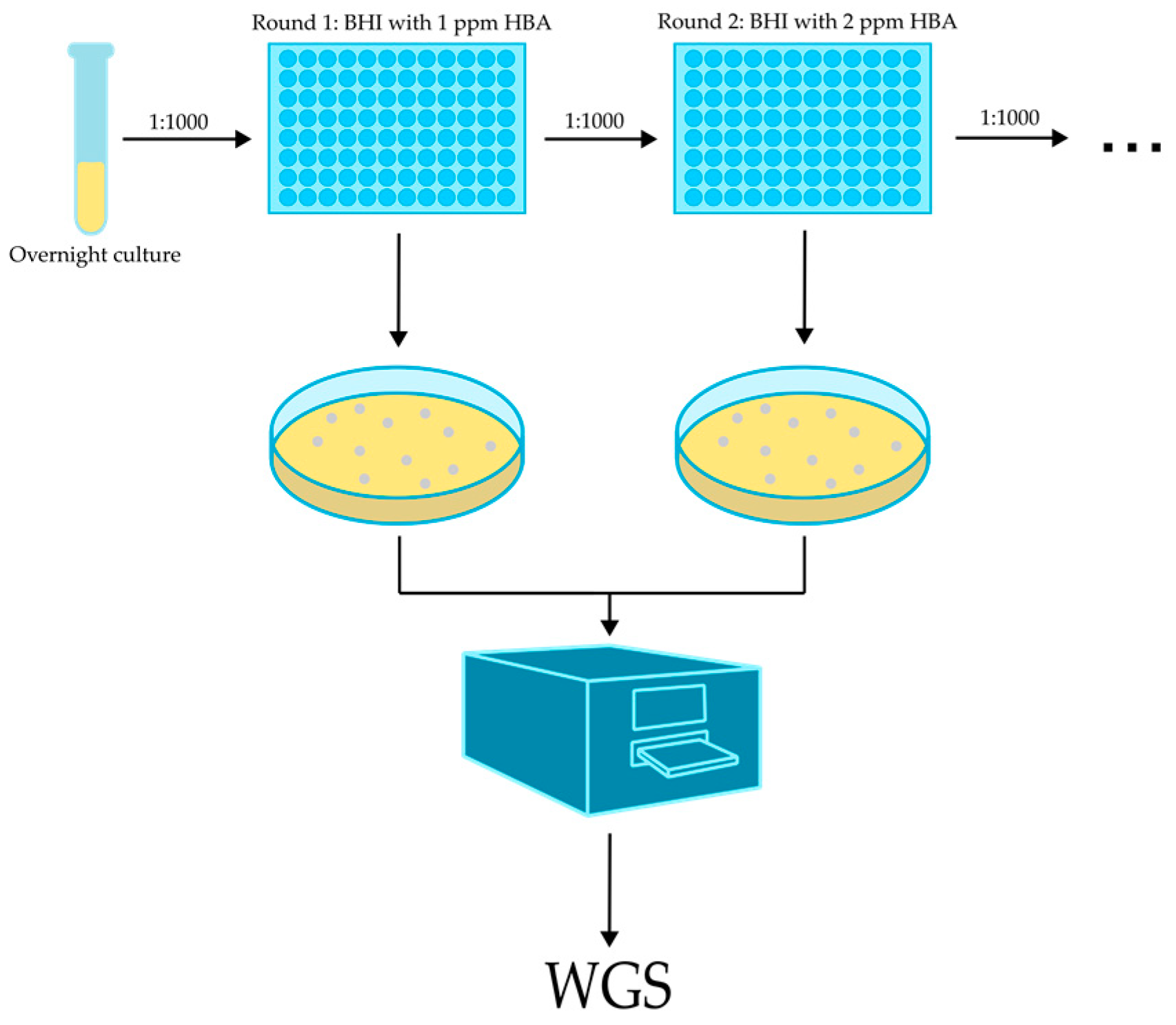 Microorganisms 11 02024 g001 Microorganisms 11 02024 g001